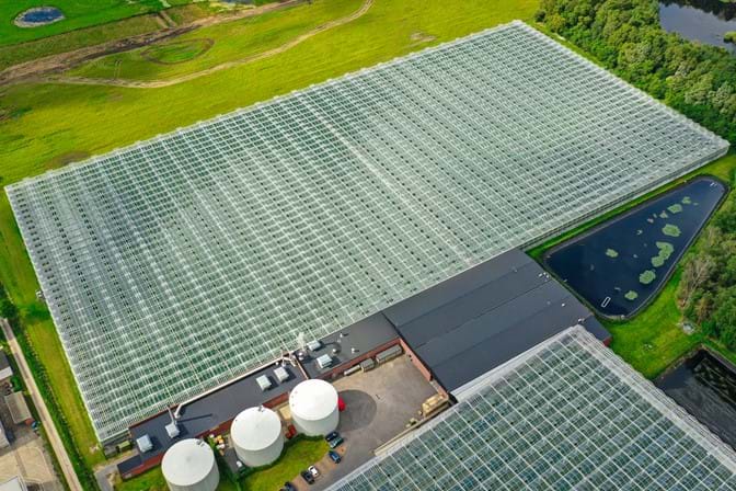 Venlo greenhouse 8,00 m 40.752 m²
