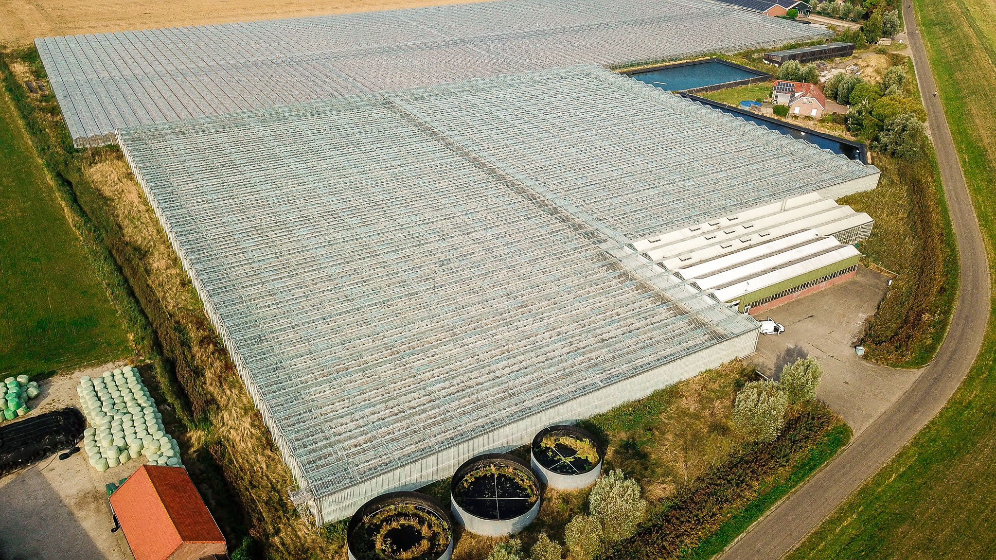 Venlo greenhouse 8,00 m 18.980 m²