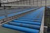 Roller conveyor belts
