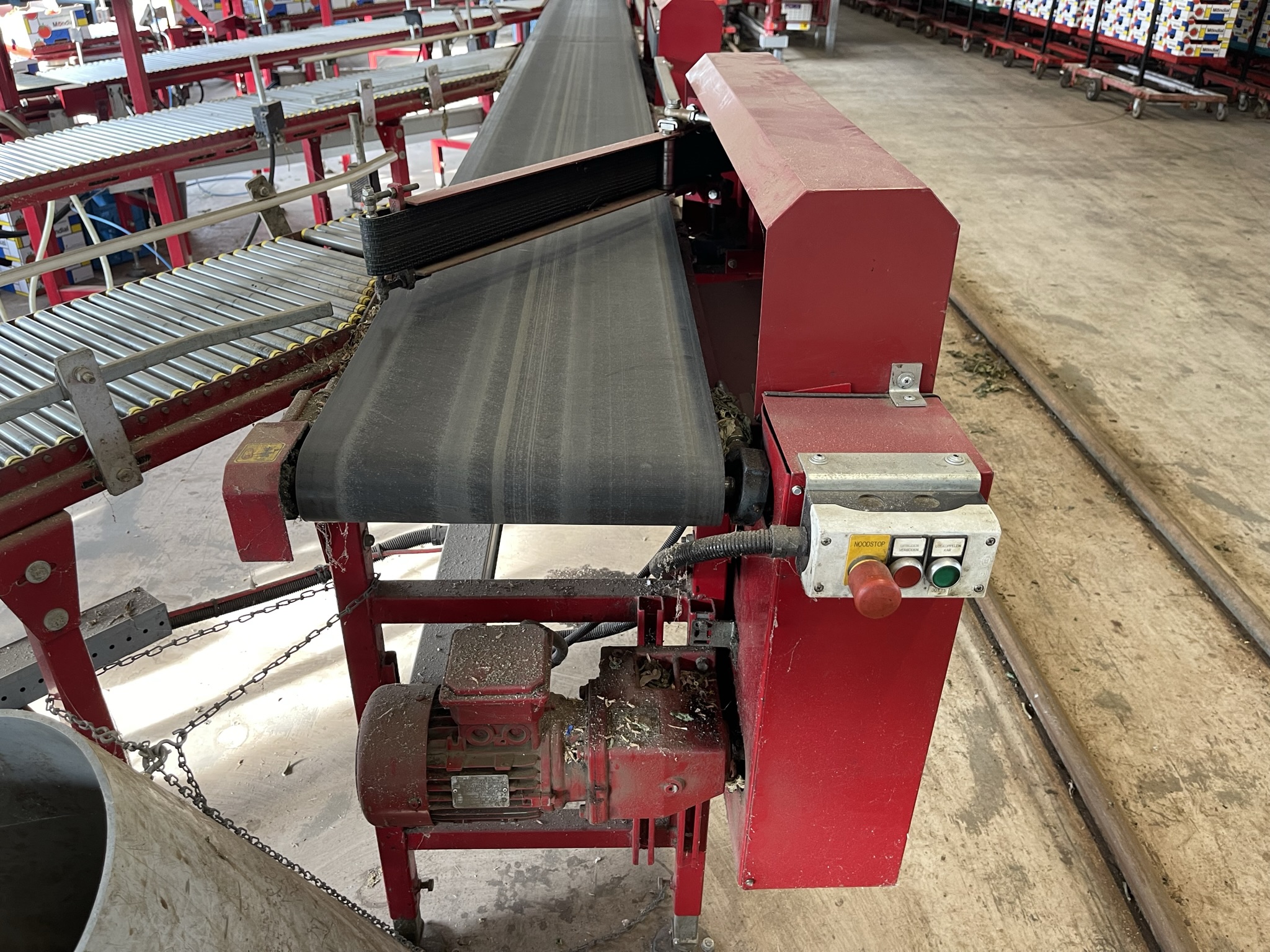 Complete Taks TTS vine tomato processing system + palletizing installation