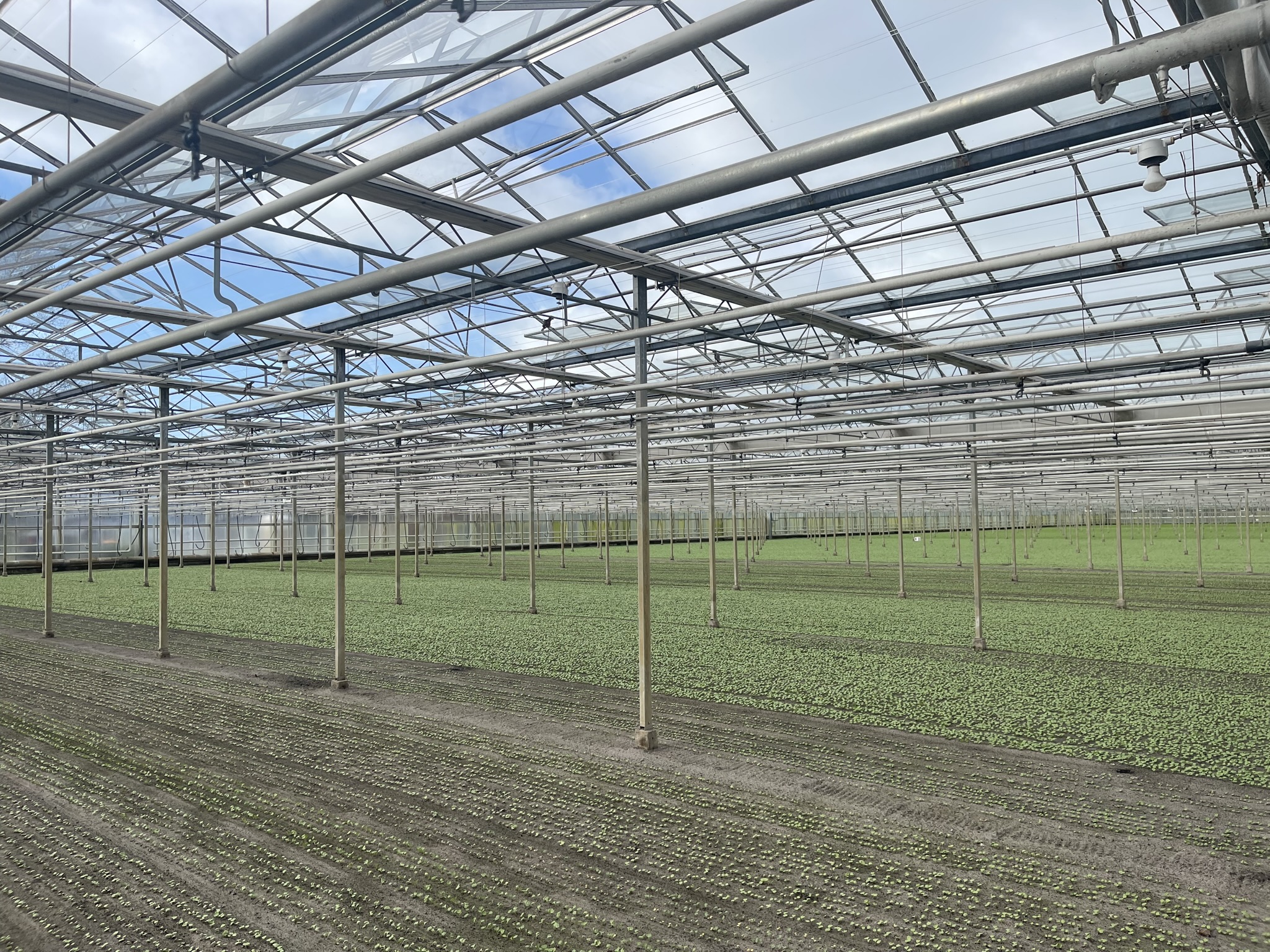 Venlo kas 6,40 m 18.841 m²