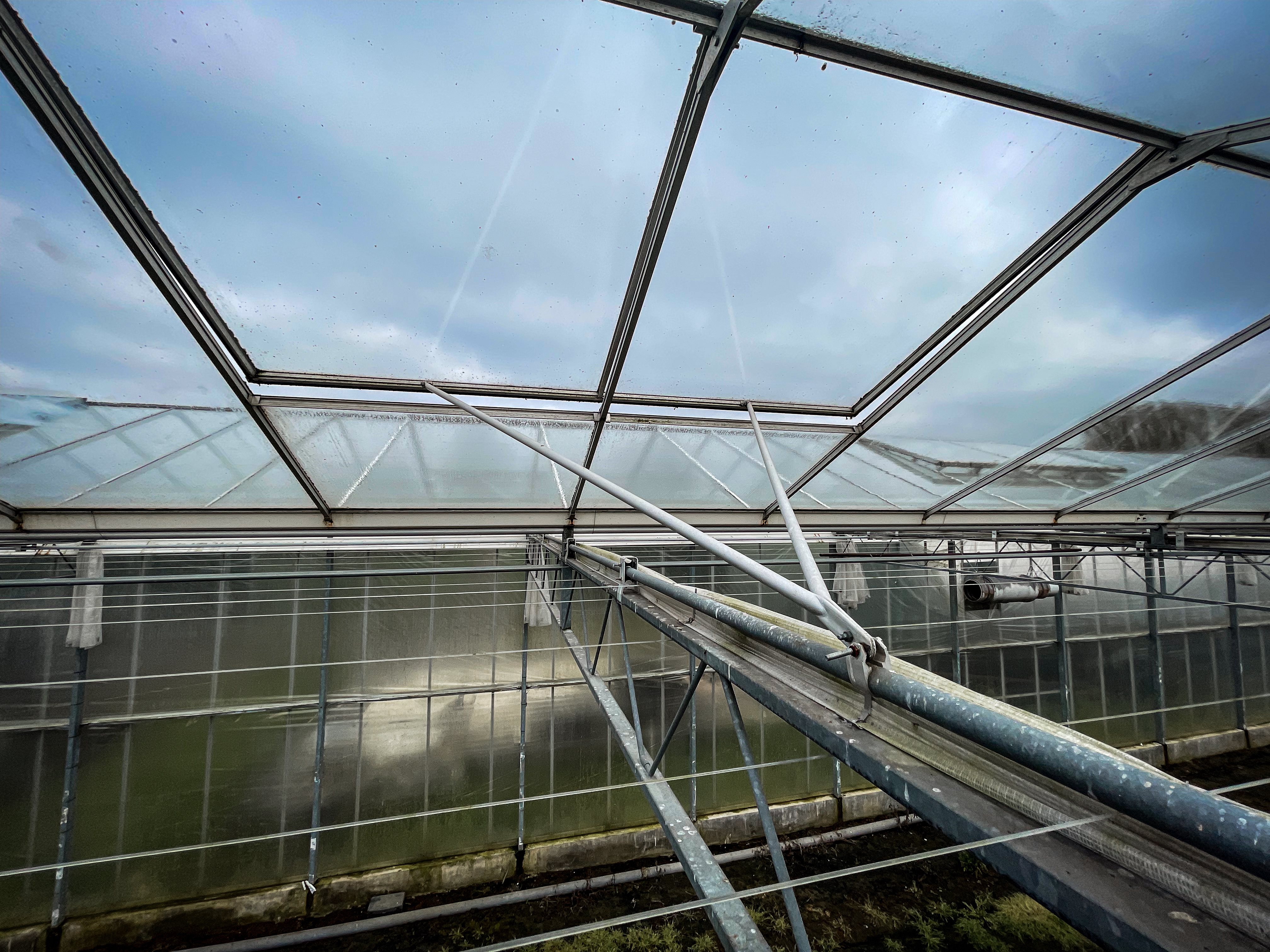 Venlo kas 8,00 m 15.300 m²