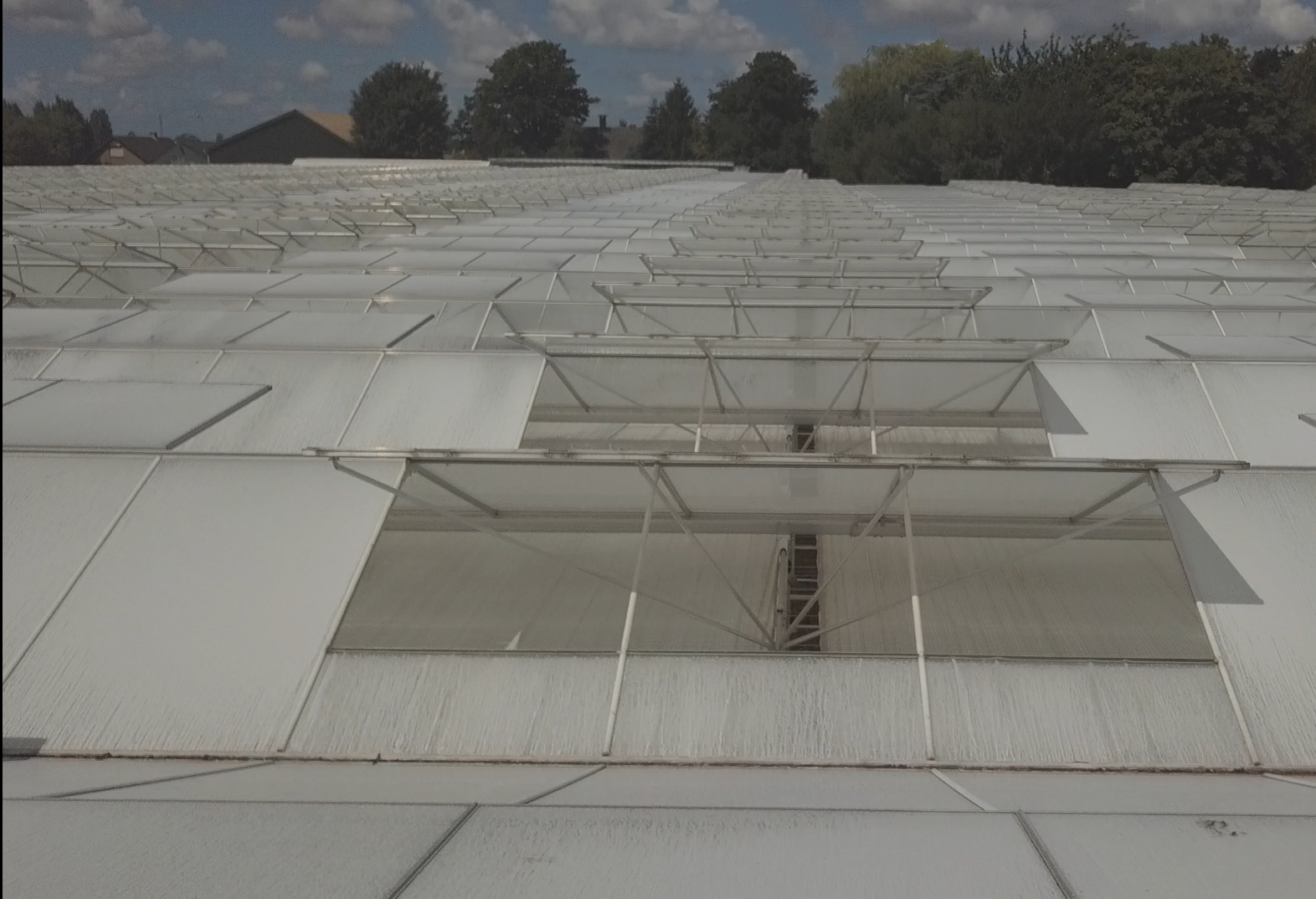 Venlo greenhouse 9,60 m 11.794 m²