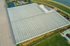 Venlo greenhouse 8,00 m 18.980 m²