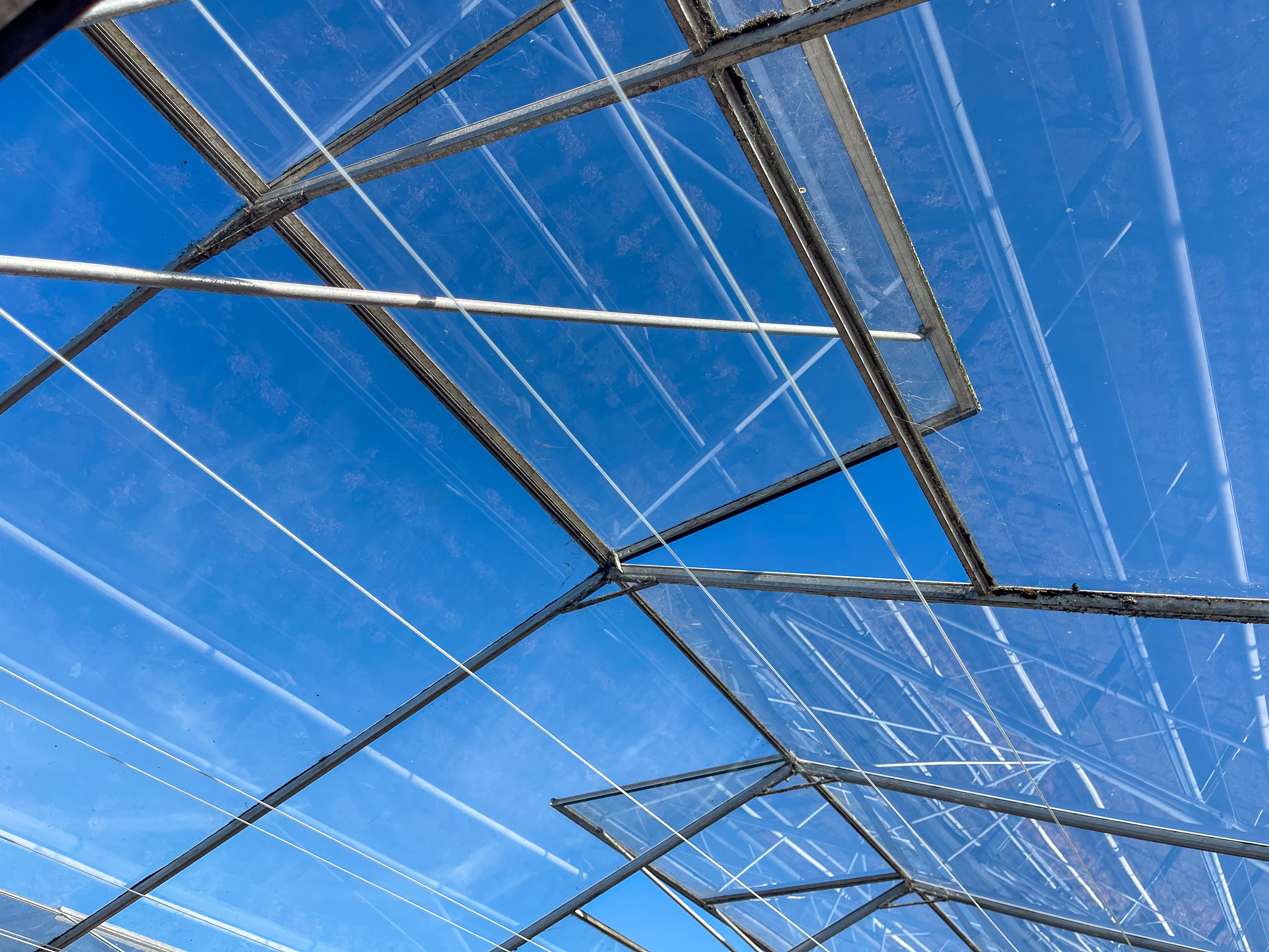 Venlo kas 8,00 m 3.680 m²