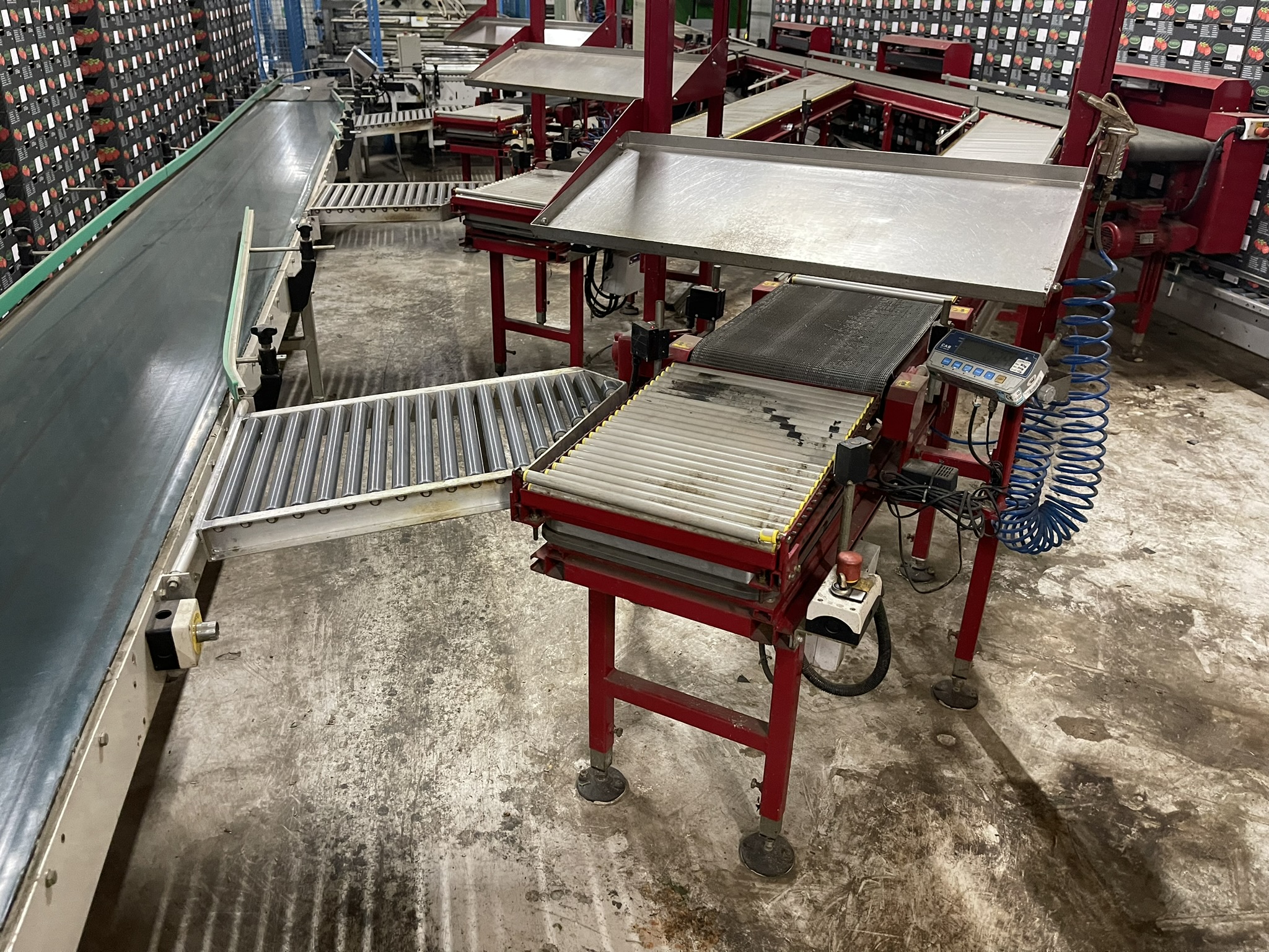 Complete Taks TTS vine tomato processing system