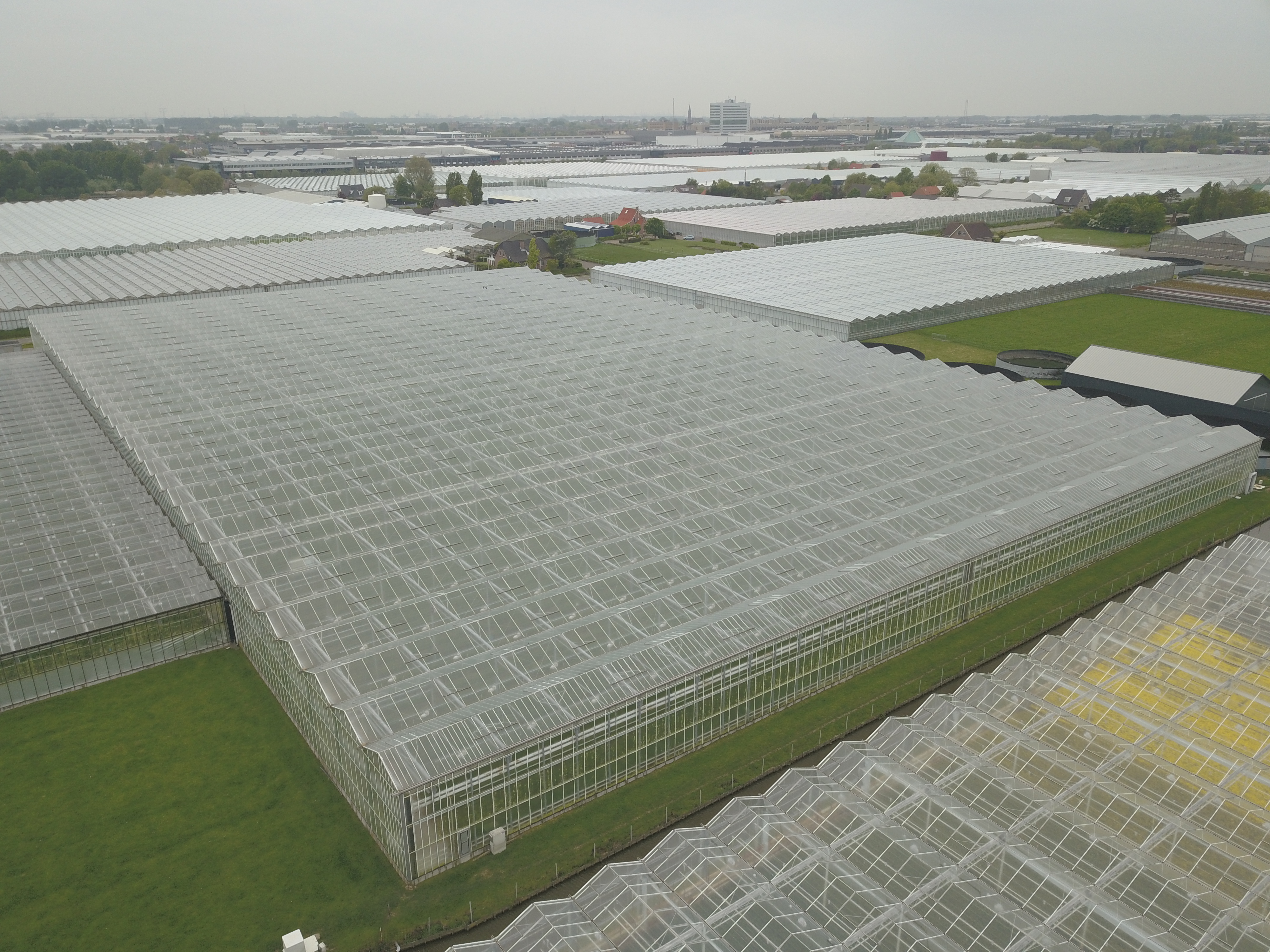 Venlo greenhouse 9,60 m 14.985 m²