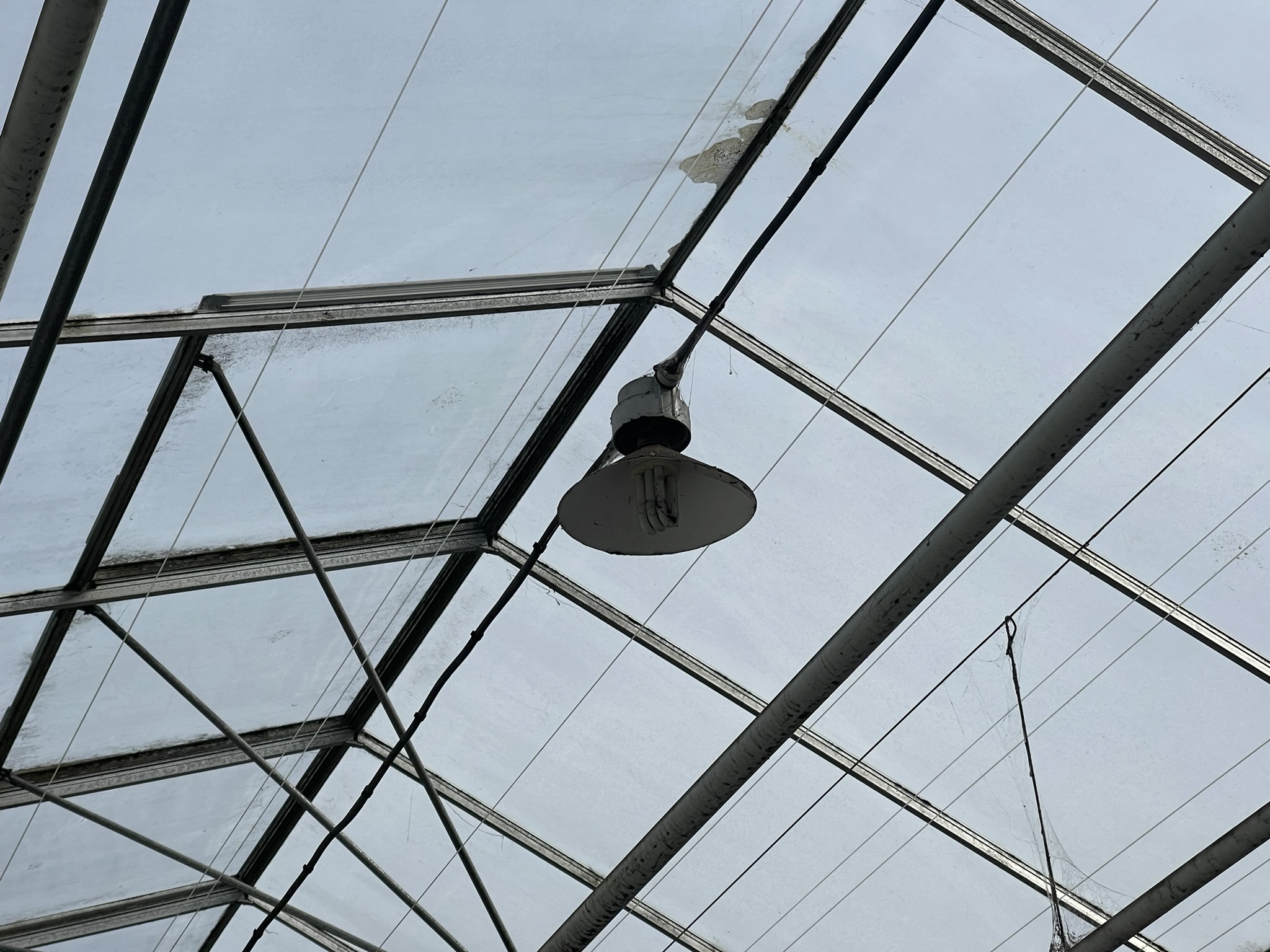 Cyclische belichting