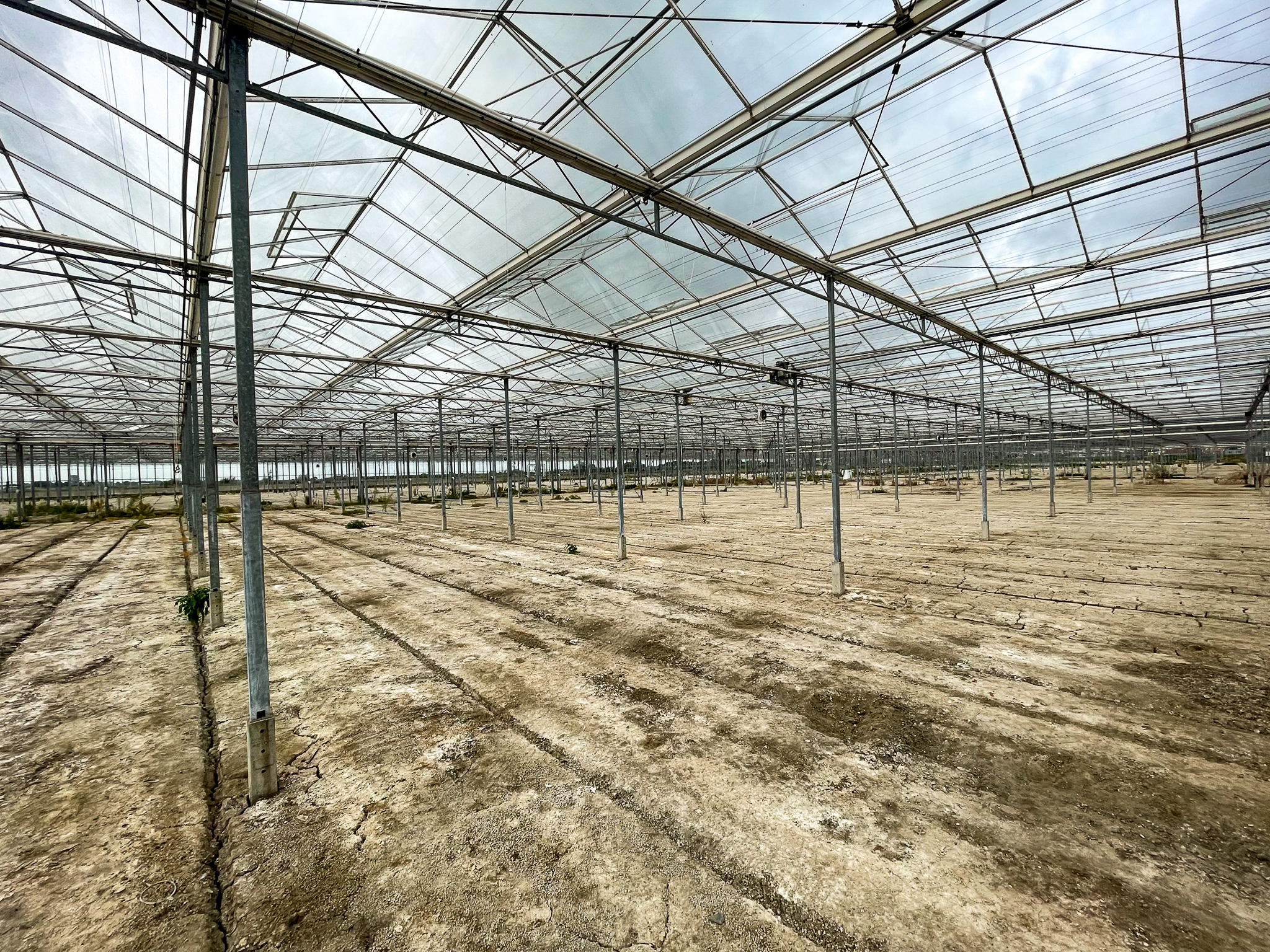 Venlo greenhouse 6,40m 6.134 m²