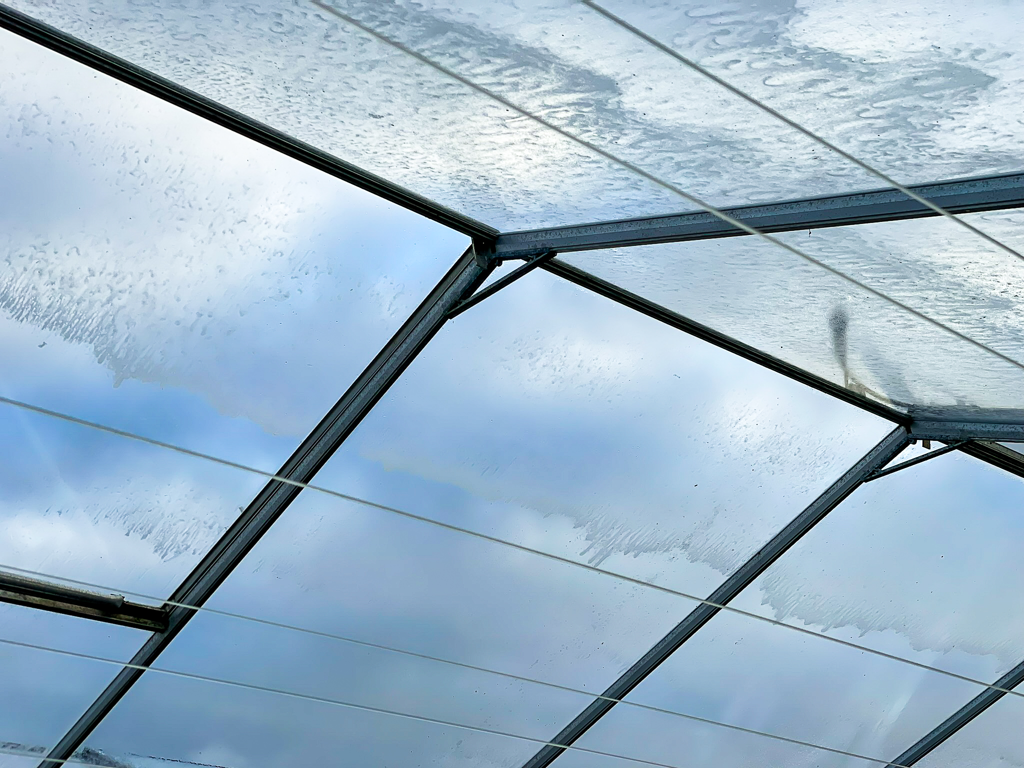 Venlo greenhouse 12,00 m 33.180 m²