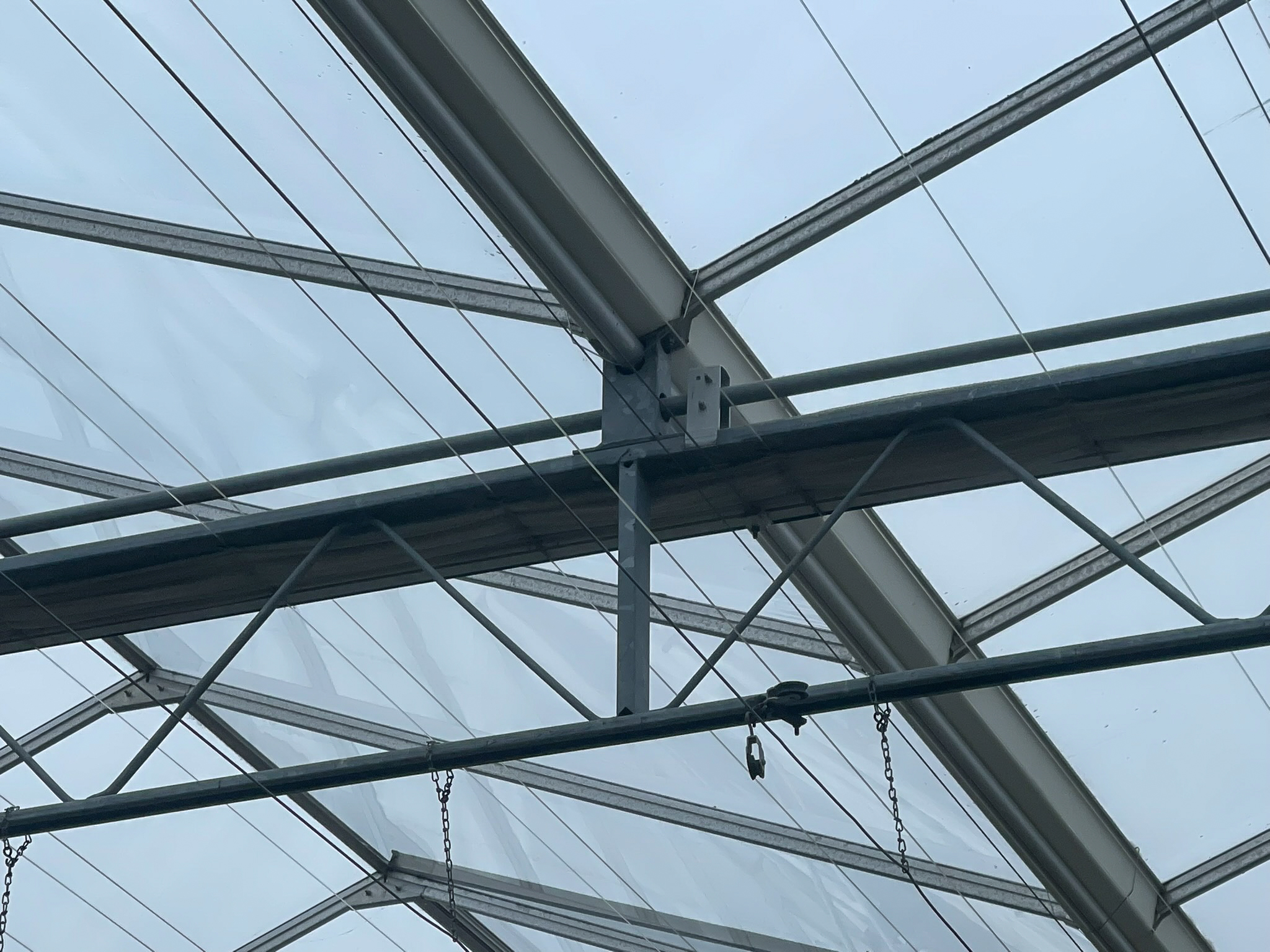 Venlo greenhouse 8,00 m 18.276 m²