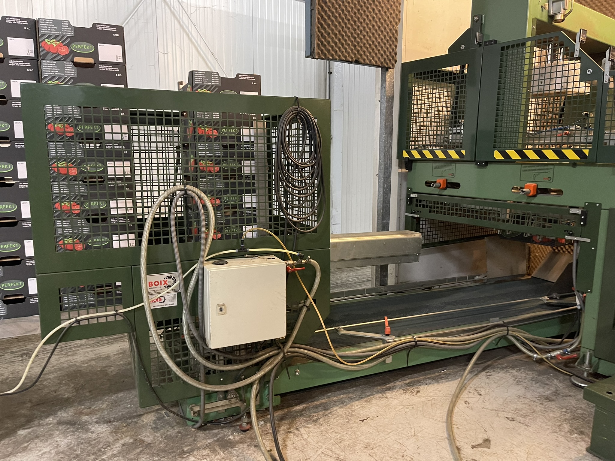 Complete vine tomato processing system