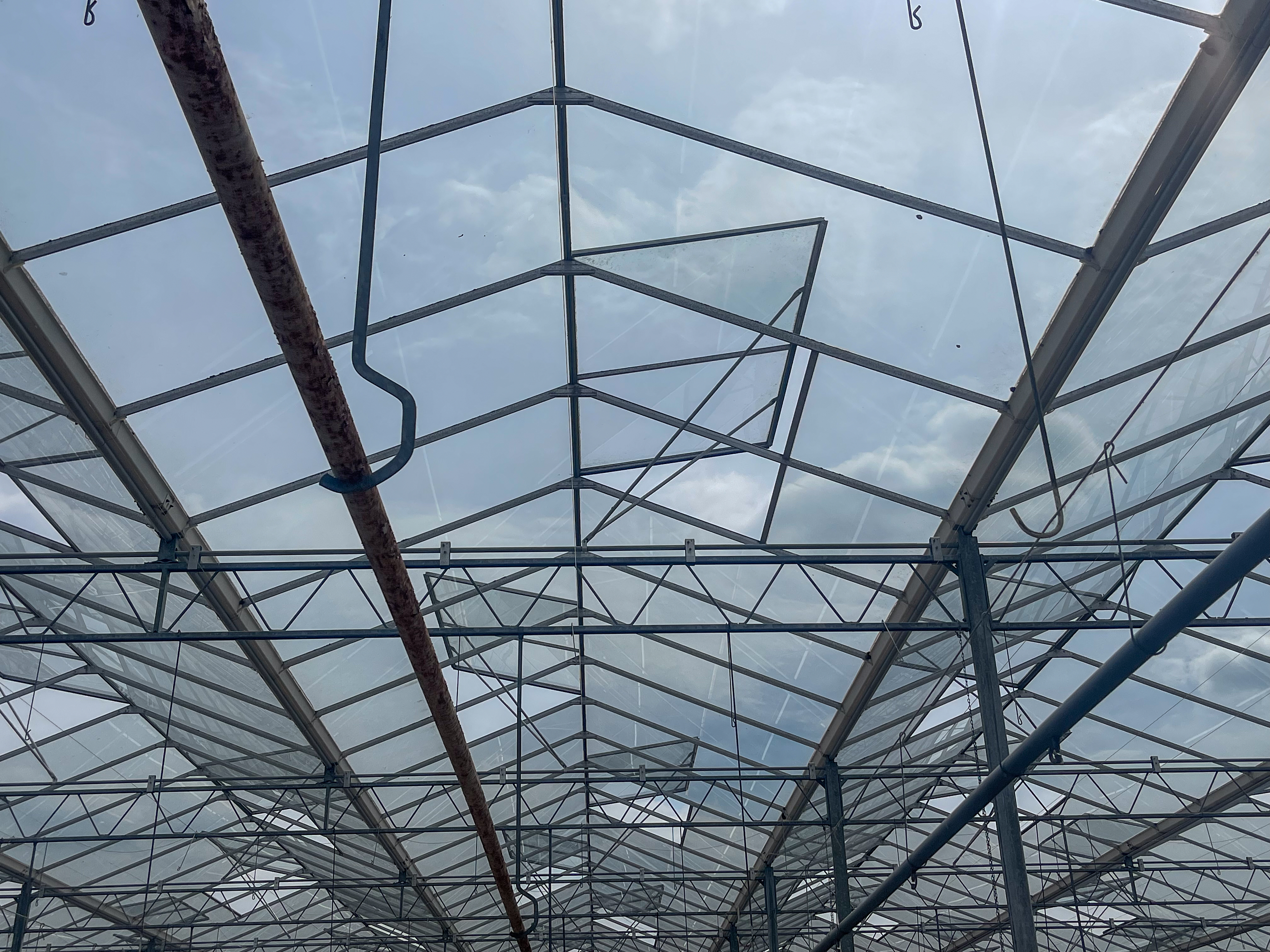 Venlo greenhouse 8,00 m 7.506 m²