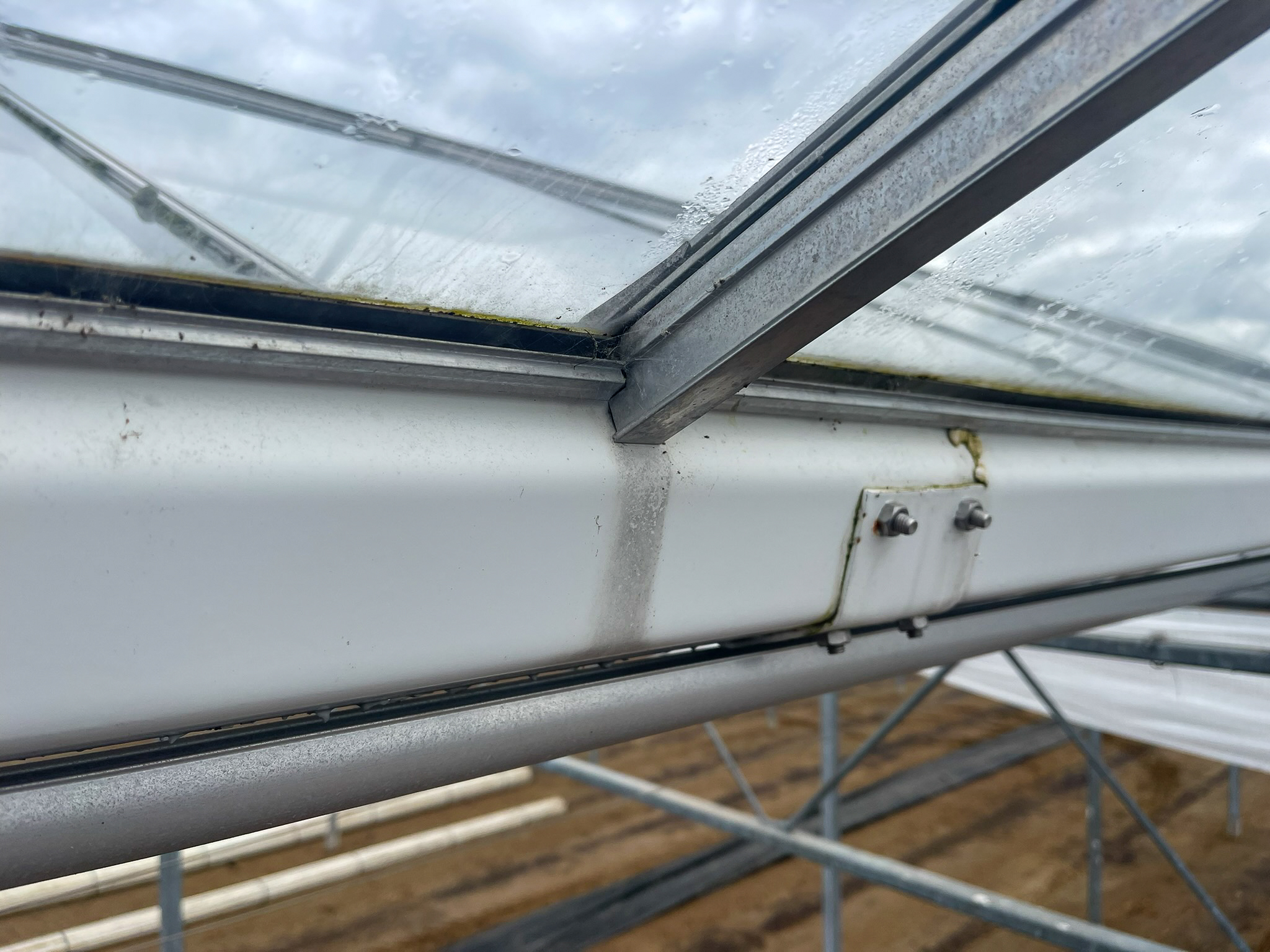 Venlo greenhouse 8,00 m 9.918 m²