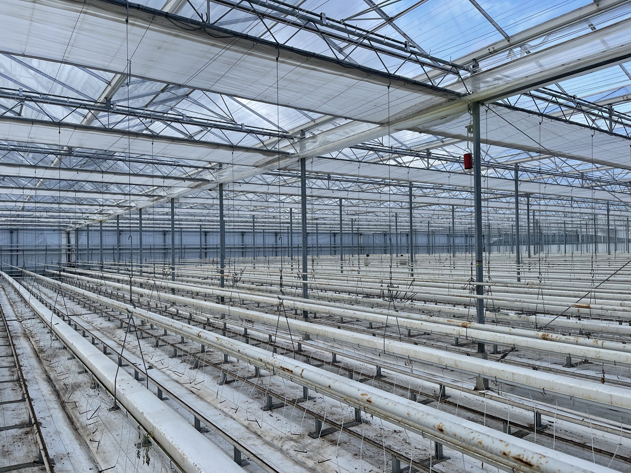 Venlo greenhouse 8,00 m 9.936 m²
