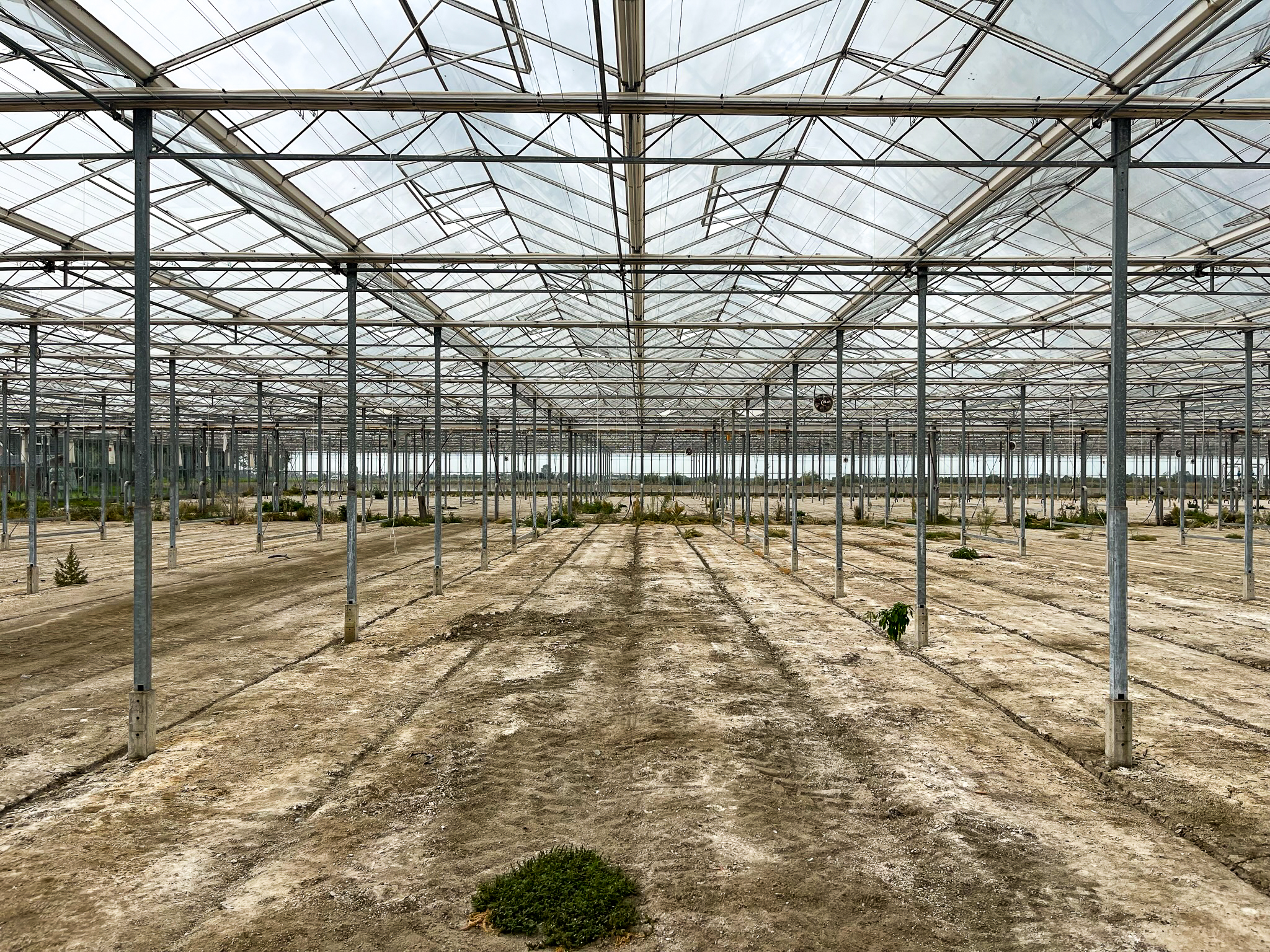 Venlo greenhouse 6,40m 6.134 m²