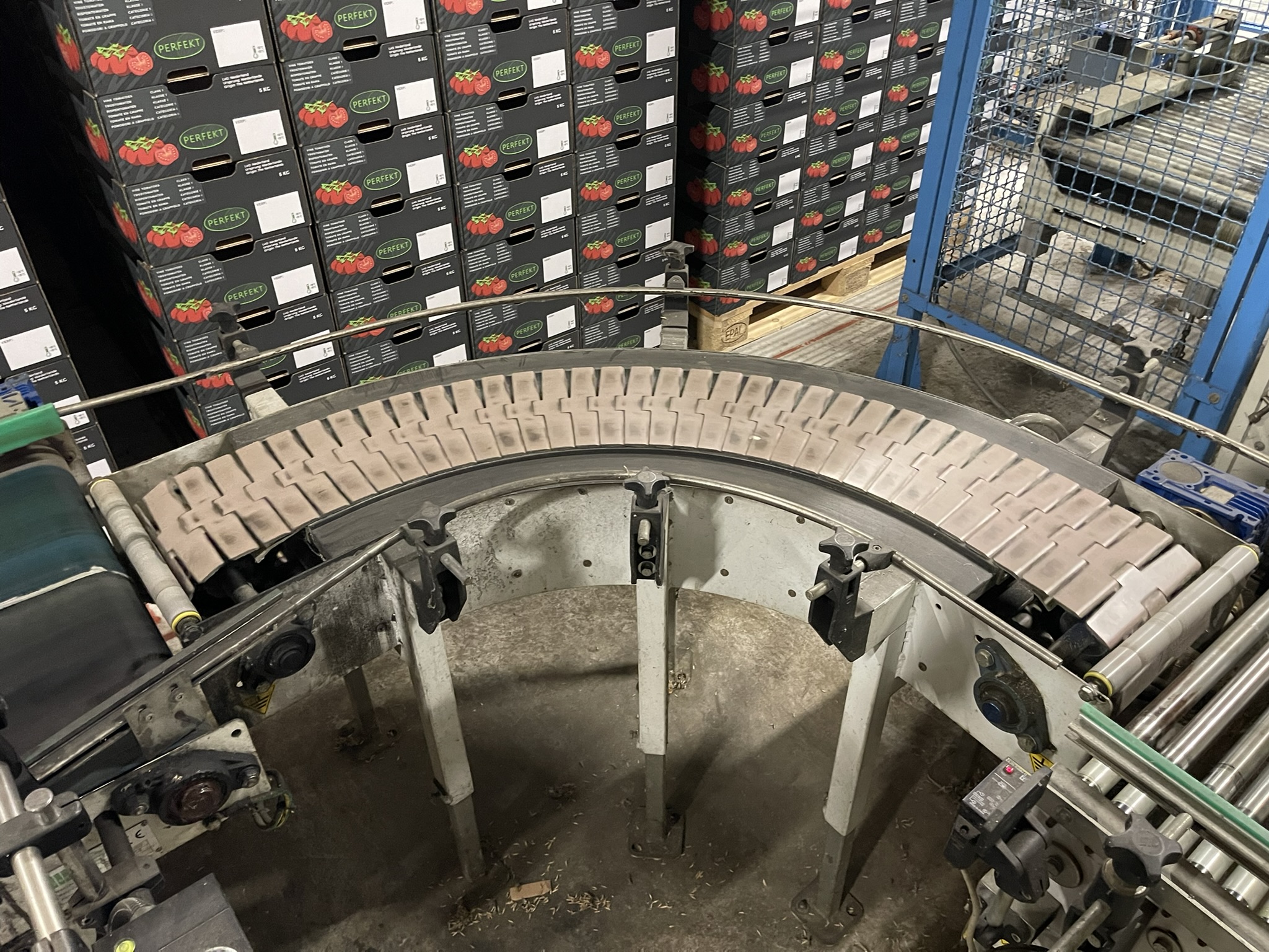 Complete Taks TTS vine tomato processing system