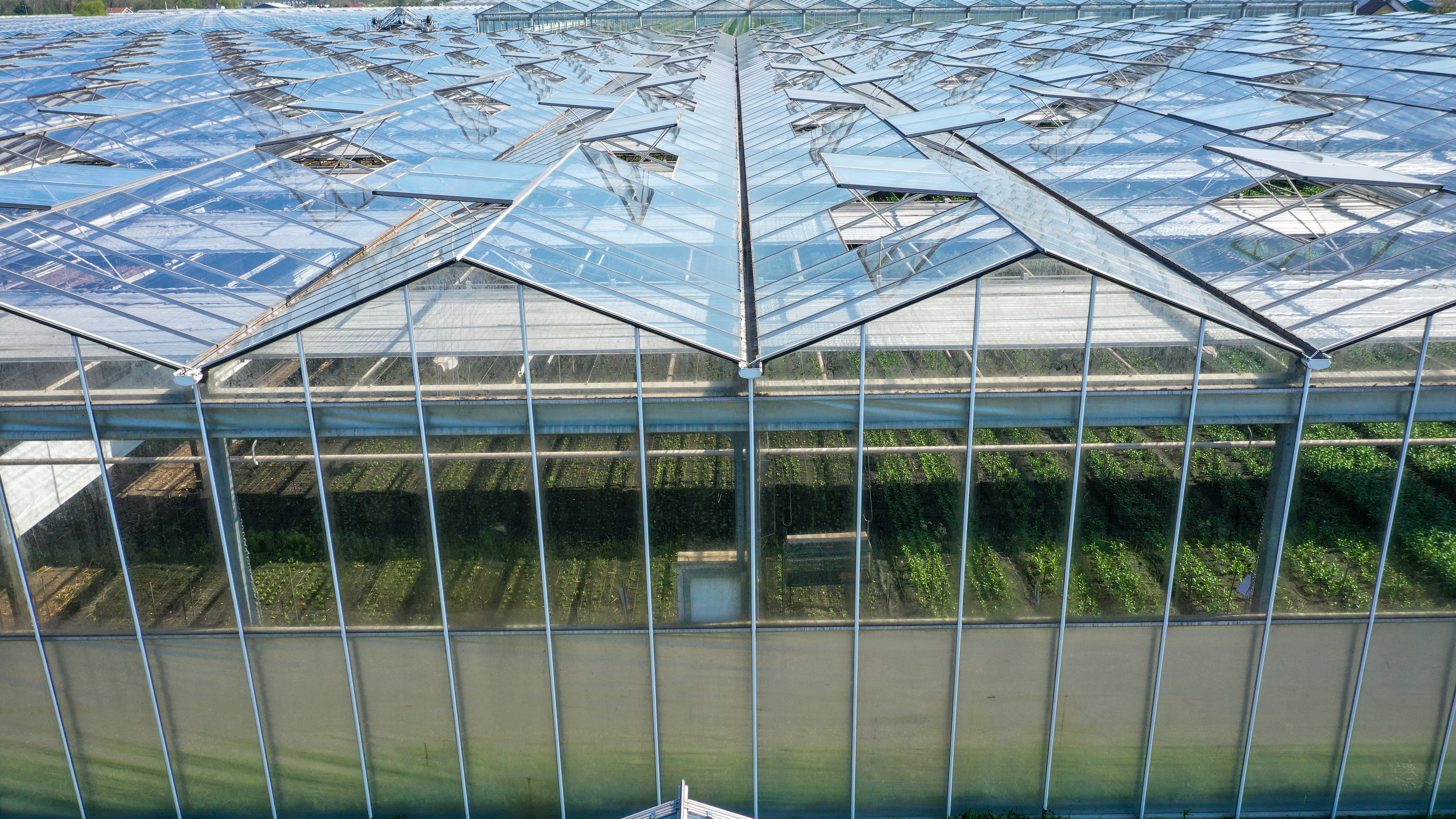 Venlo greenhouses 8,00 m 9.792 m²