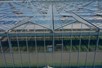 Venlo greenhouses 8,00 m 9.792 m²