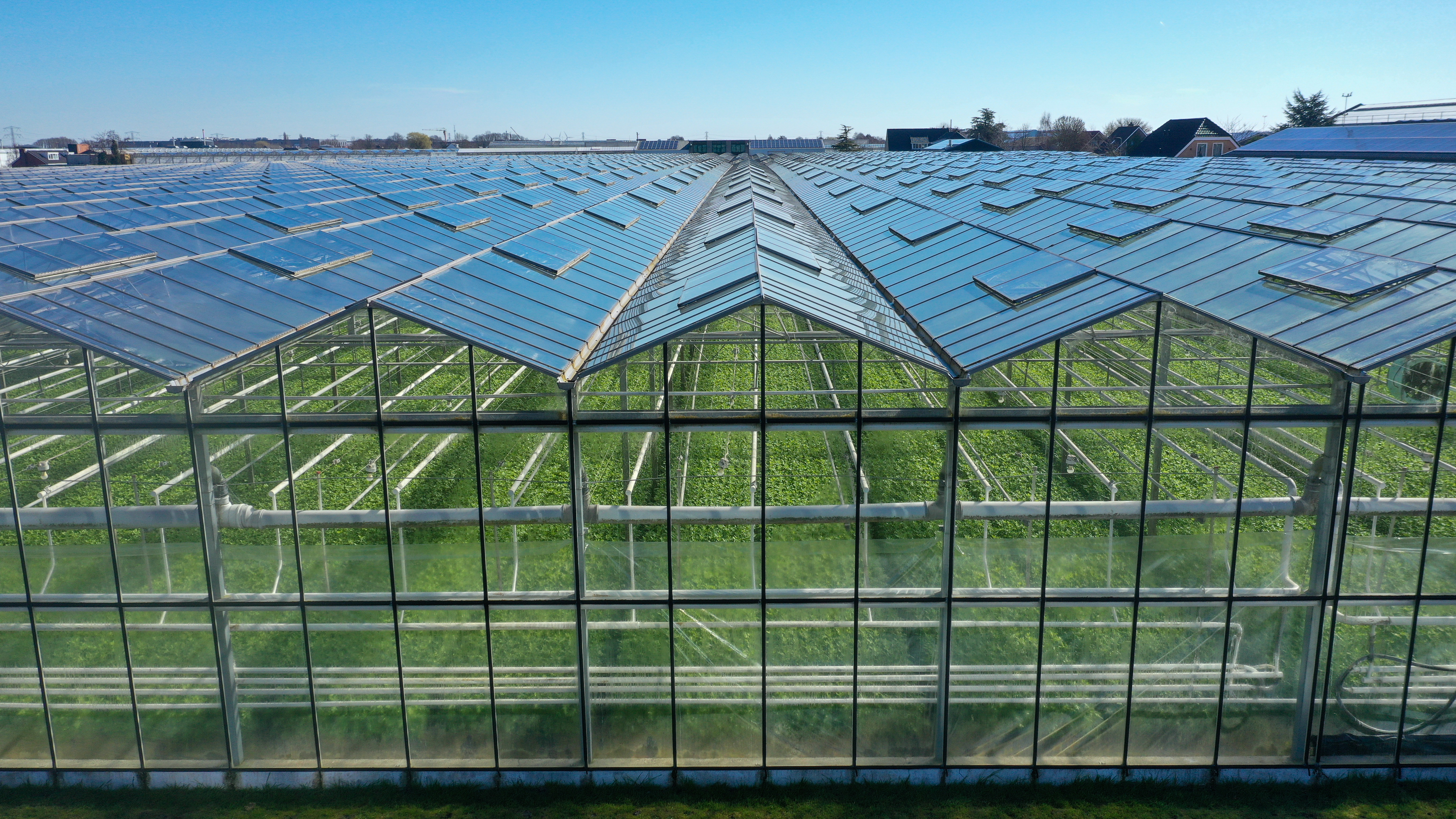 Venlo greenhouse 6,40m 11.251 m²