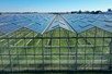 Venlo greenhouse 6,40m 11.251 m²
