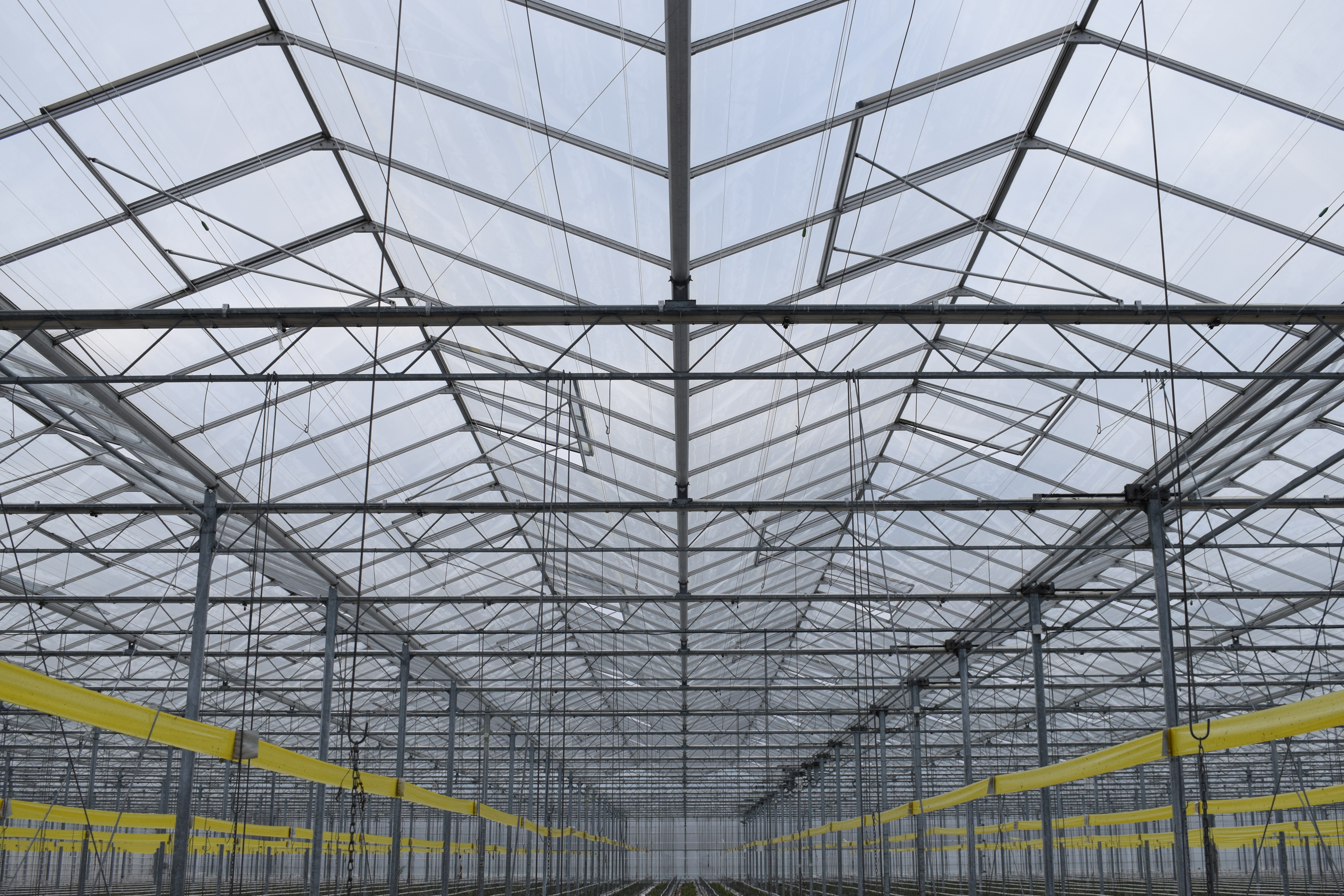 Venlo kas 8,00 m 36.543 m²