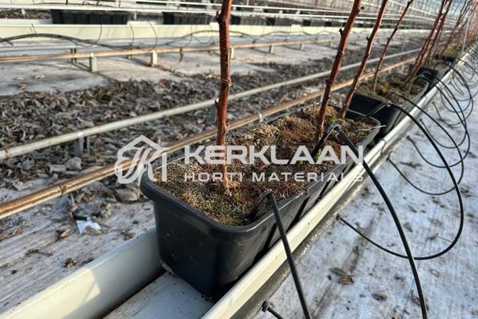 Cultivation gutters 140 mm