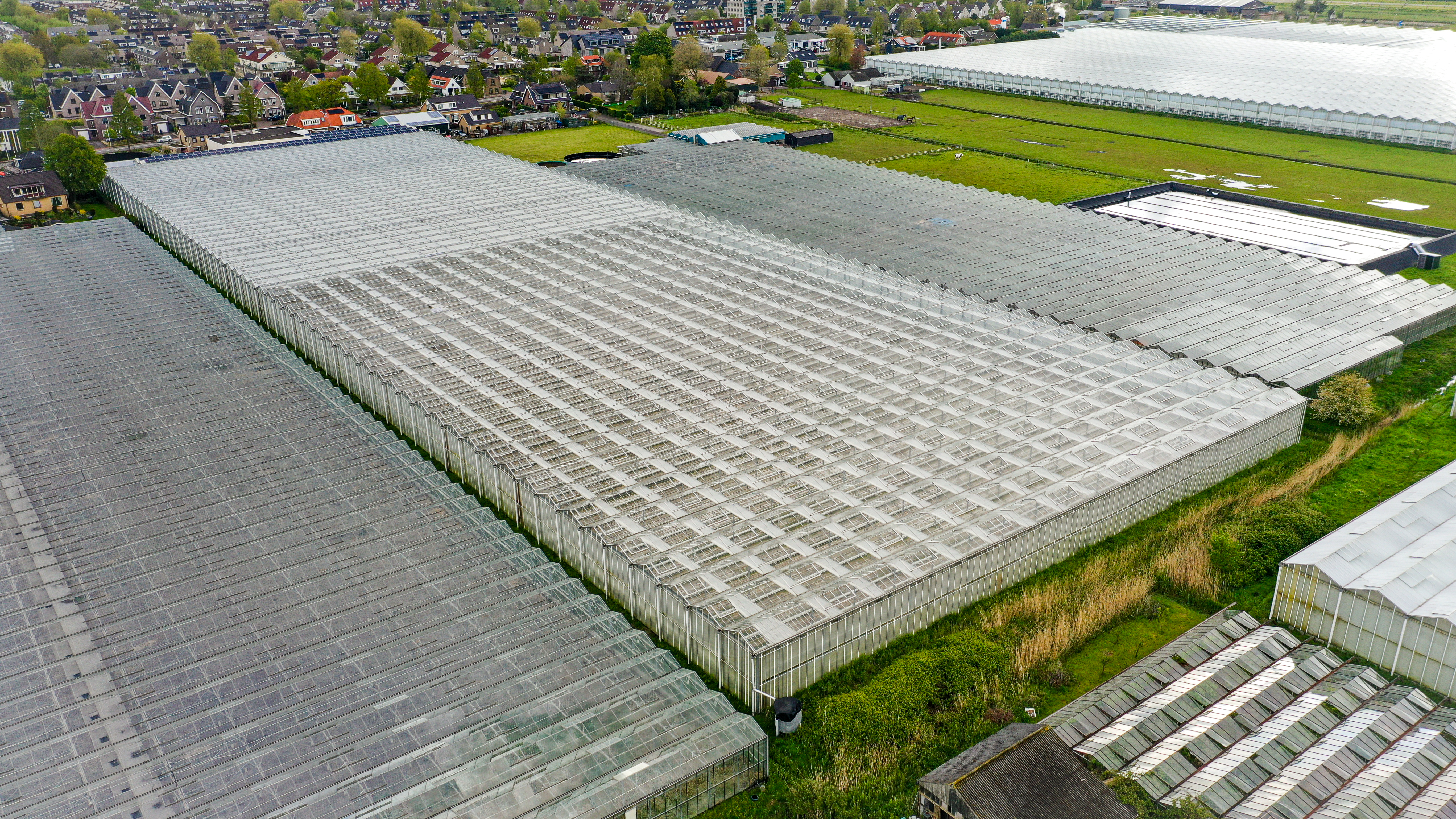 Venlo greenhouse 8,00m 17.100 m²