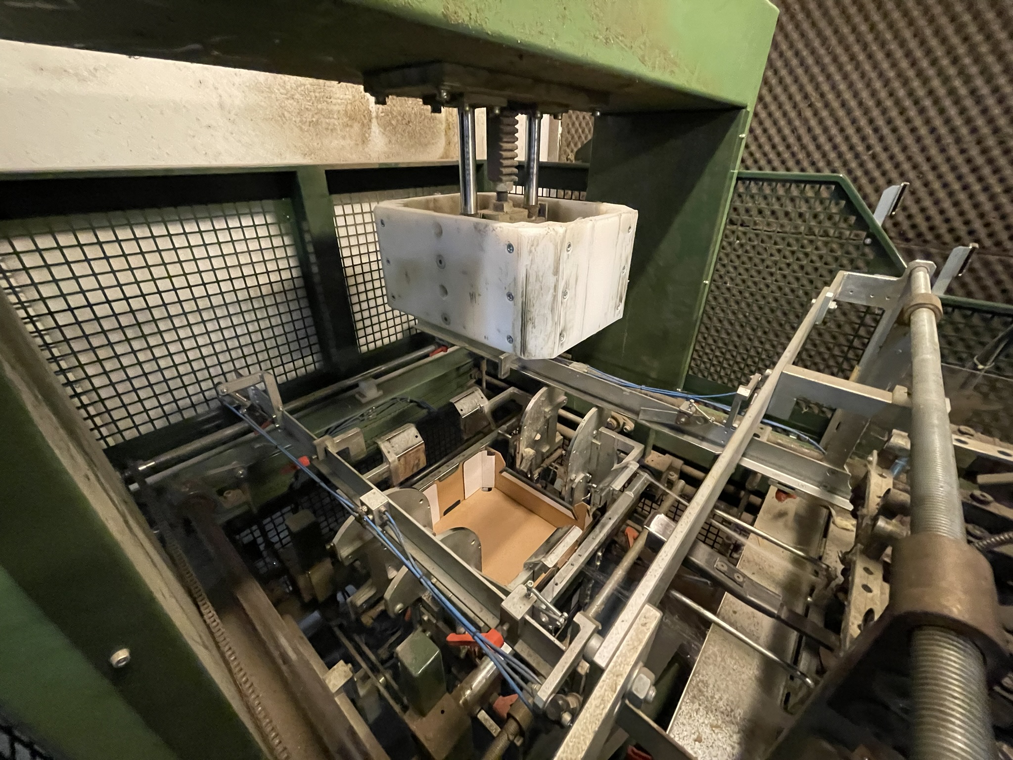 Complete vine tomato processing system