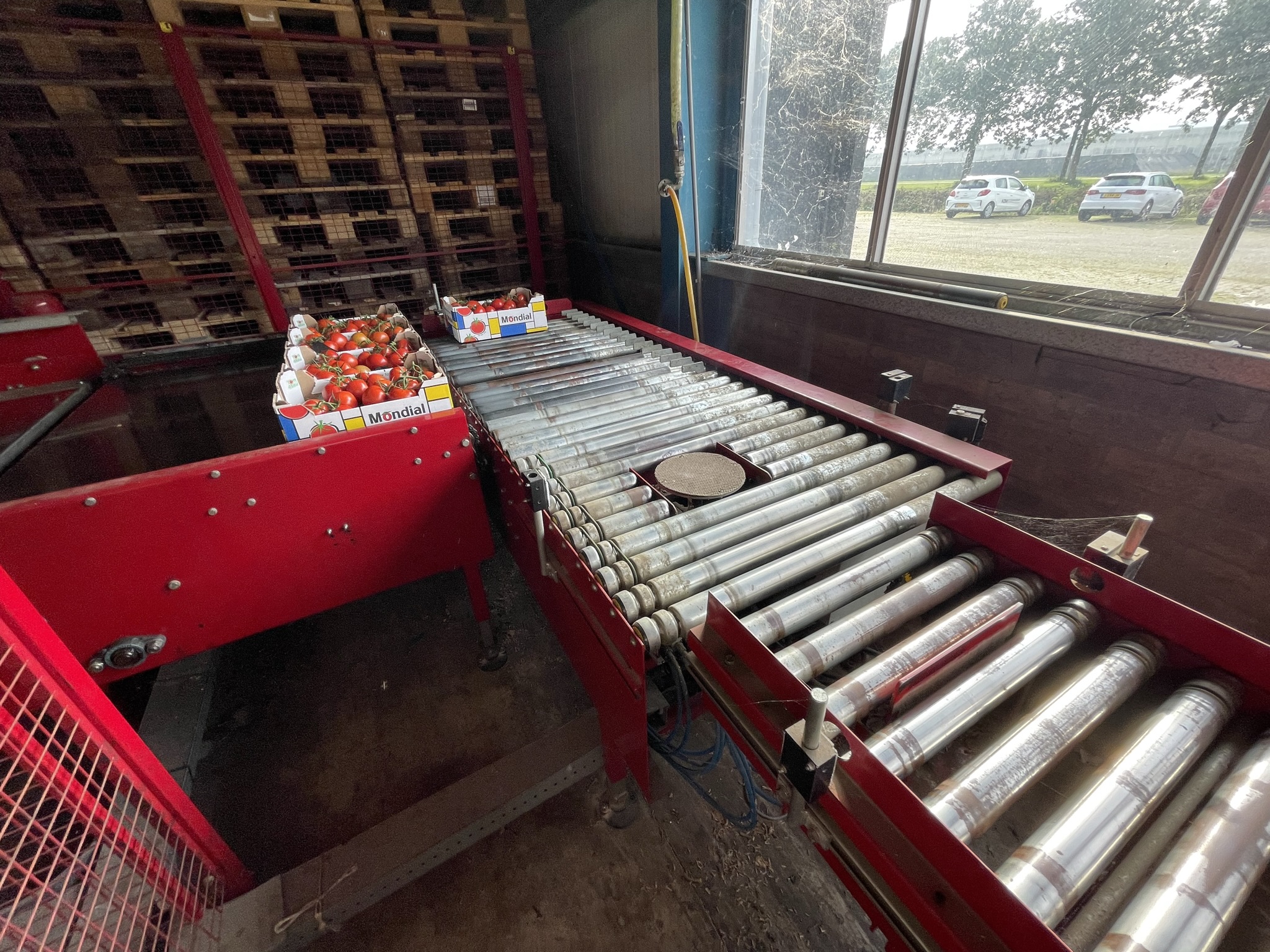 Complete Taks TTS vine tomato processing system + palletizing installation