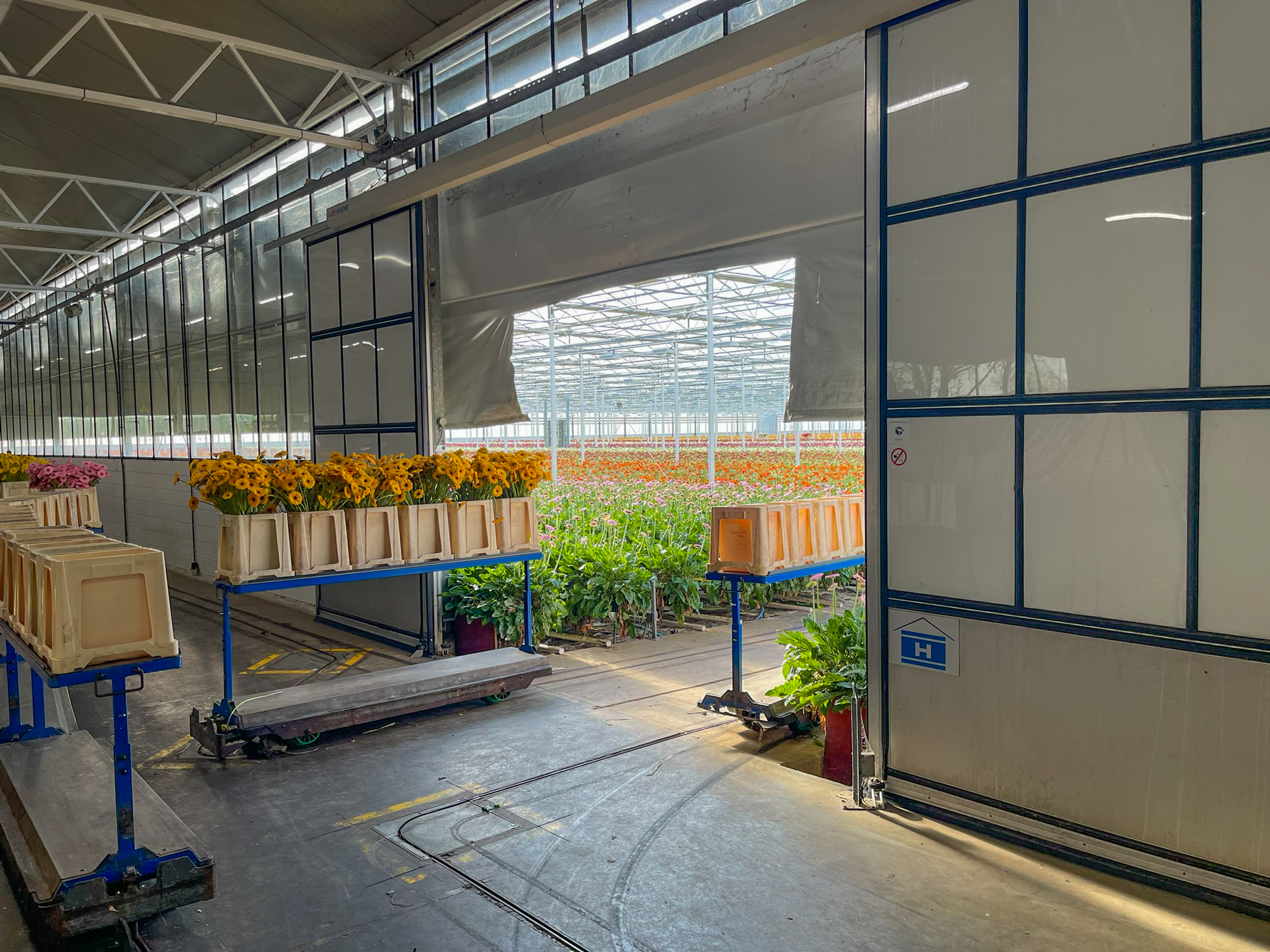 Business space 748 m²