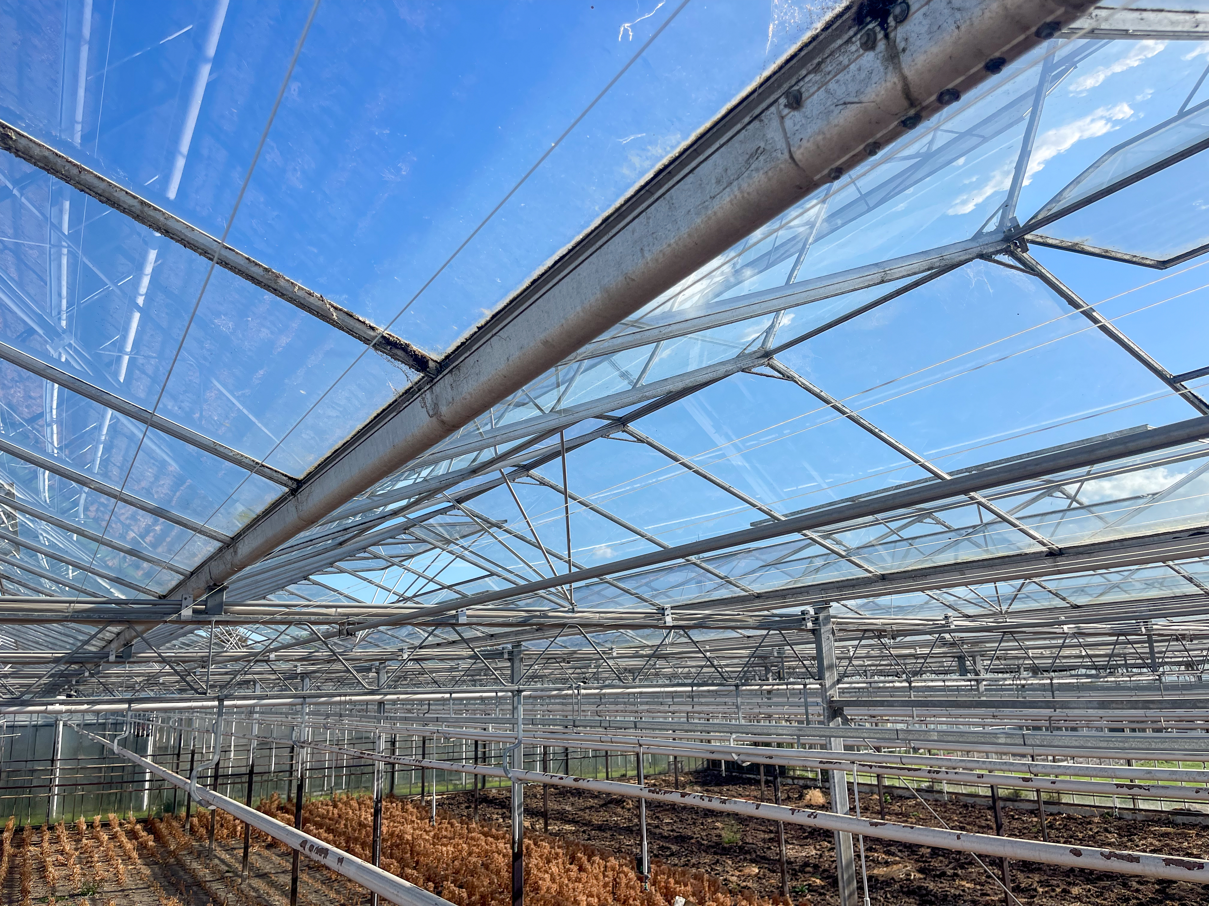 Venlo kas 8,00 m 3.680 m²