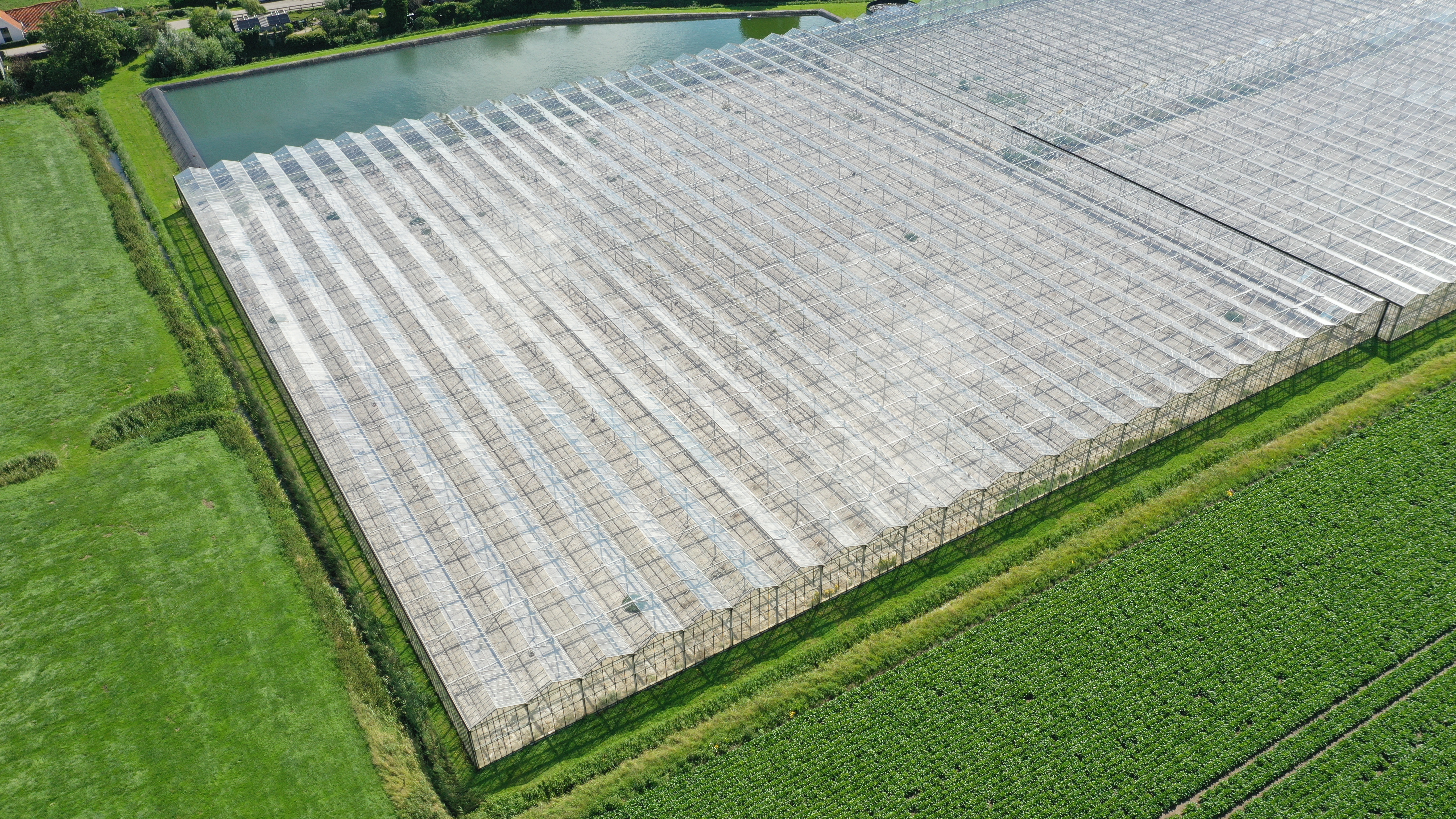 Venlo greenhouse 8,00 m 19.920 m²
