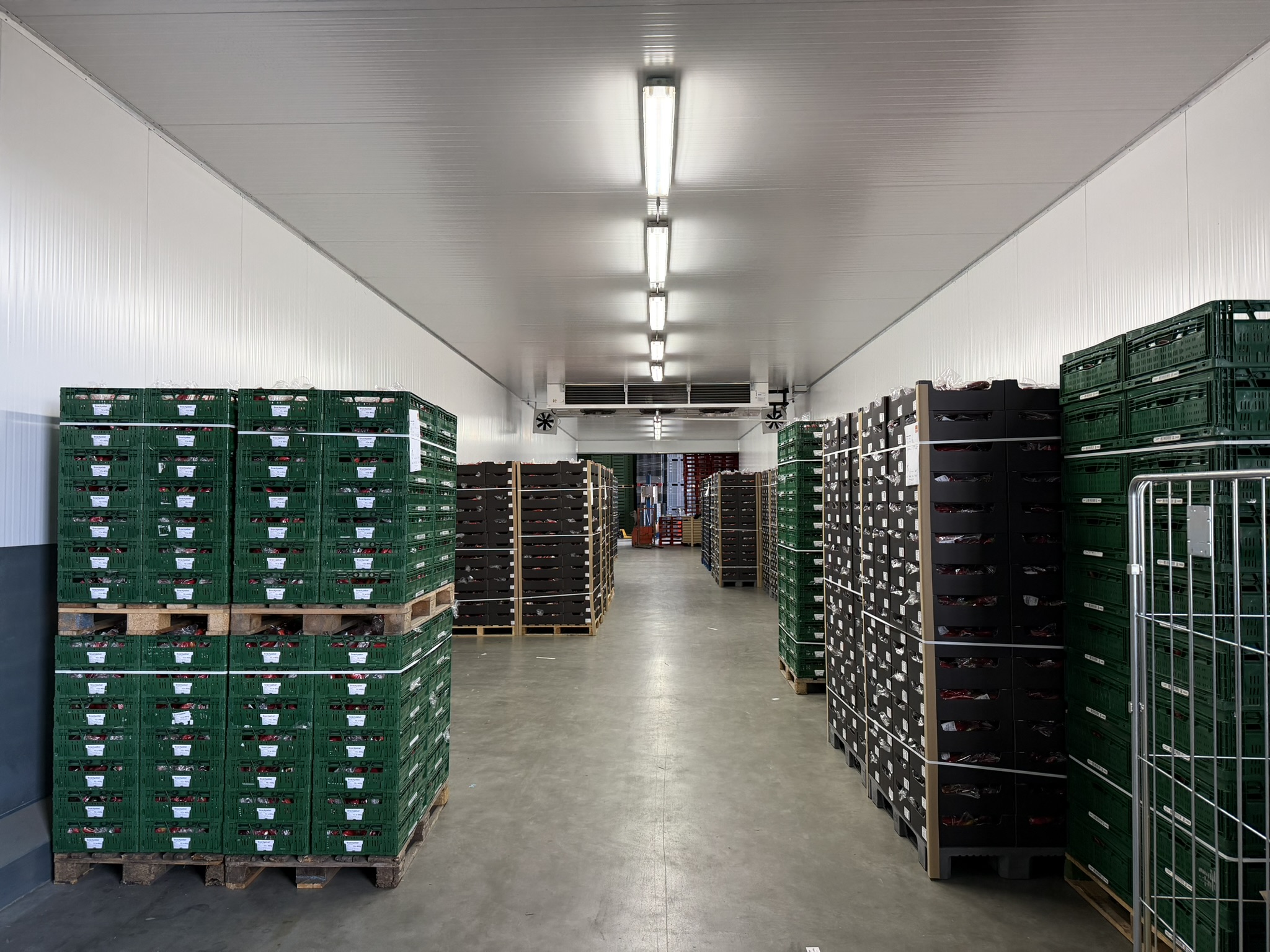 Cooling room 684 m³ / 171 m²