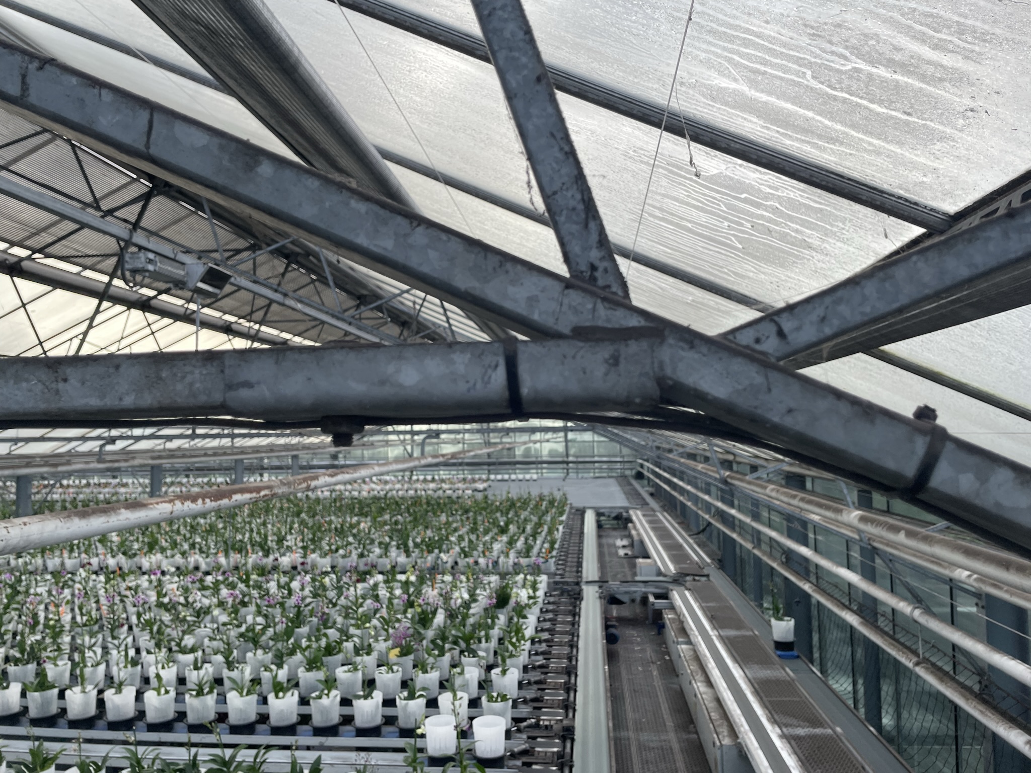 Breedkap kas 12,80 m 4.953 m²