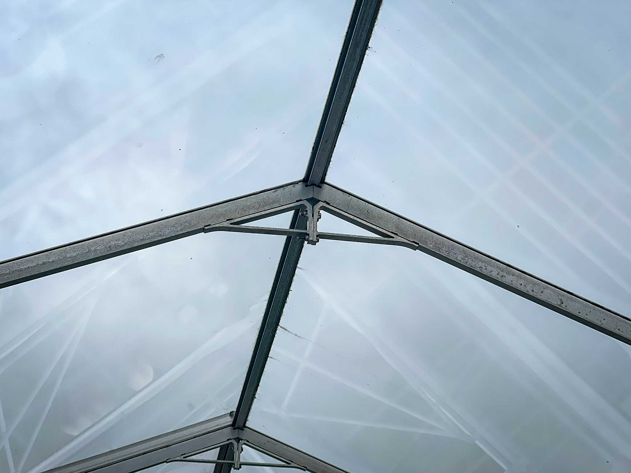 Venlo greenhouse 8,00 m 14.464 m²