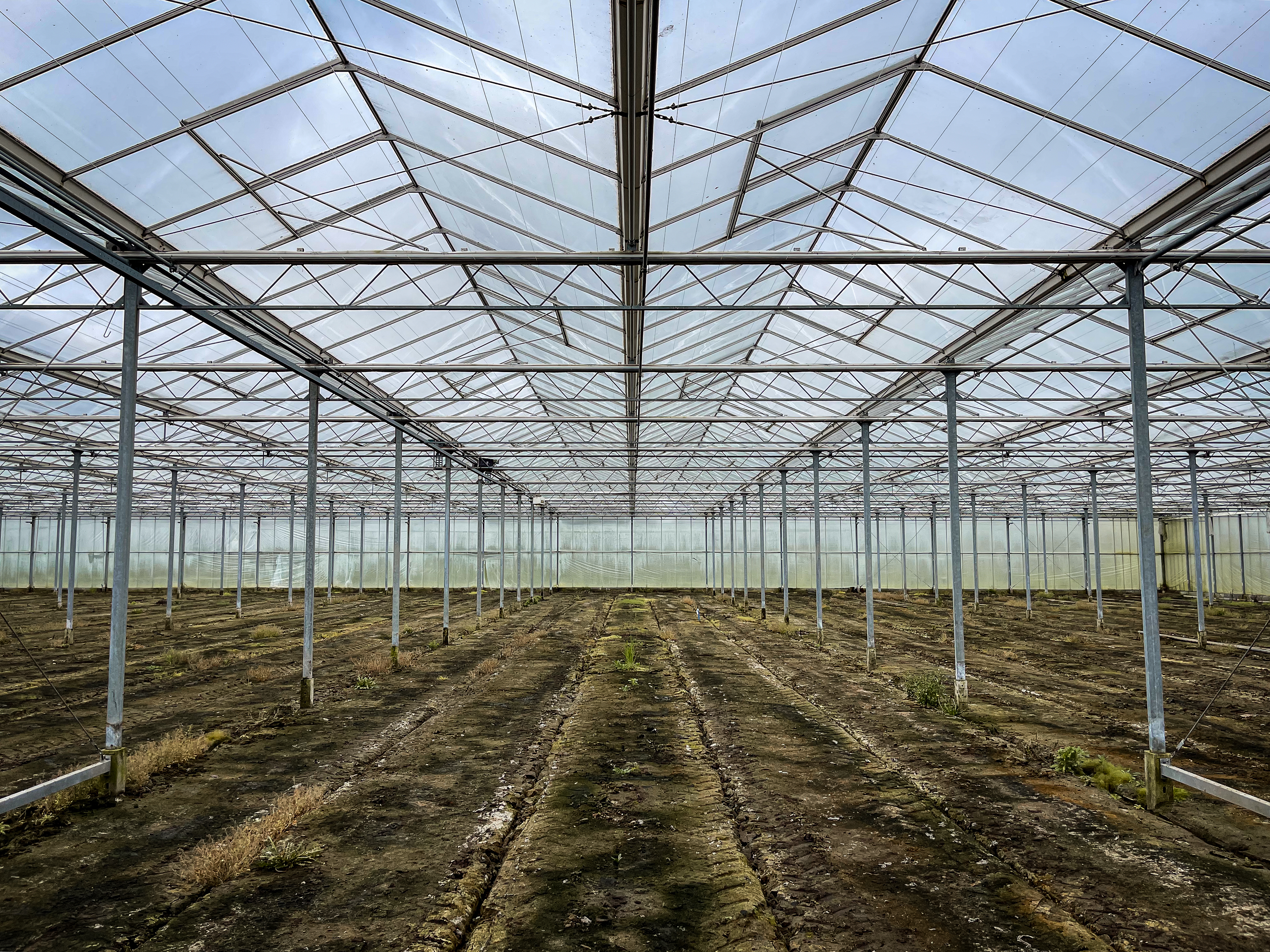 Venlo kas 8,00 m 15.300 m²