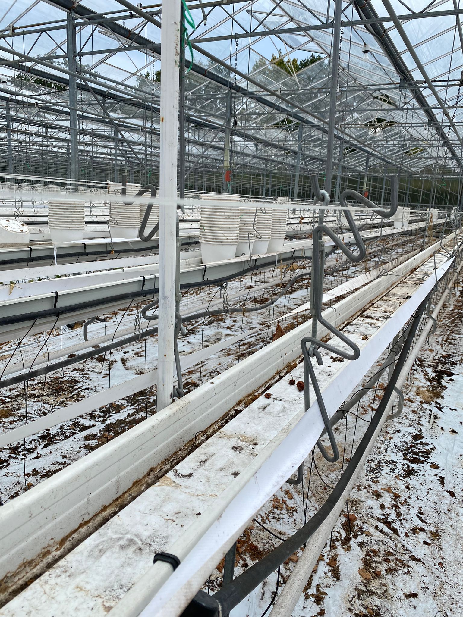 Compleet aardbeien teeltsysteem