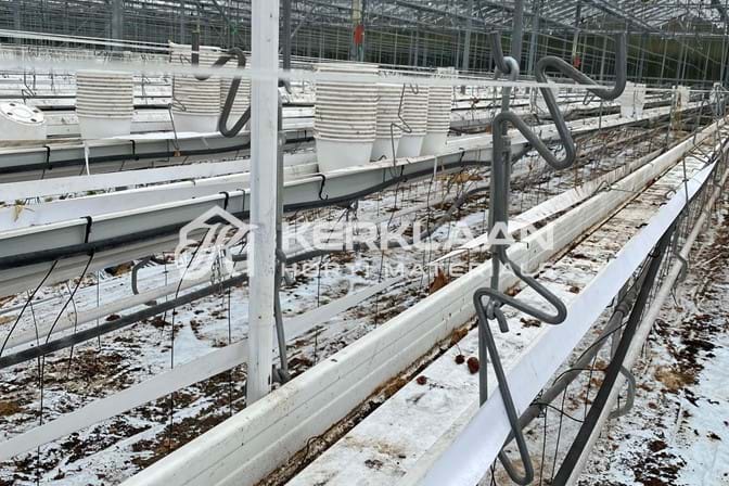 Complete Strawberry cultivation system