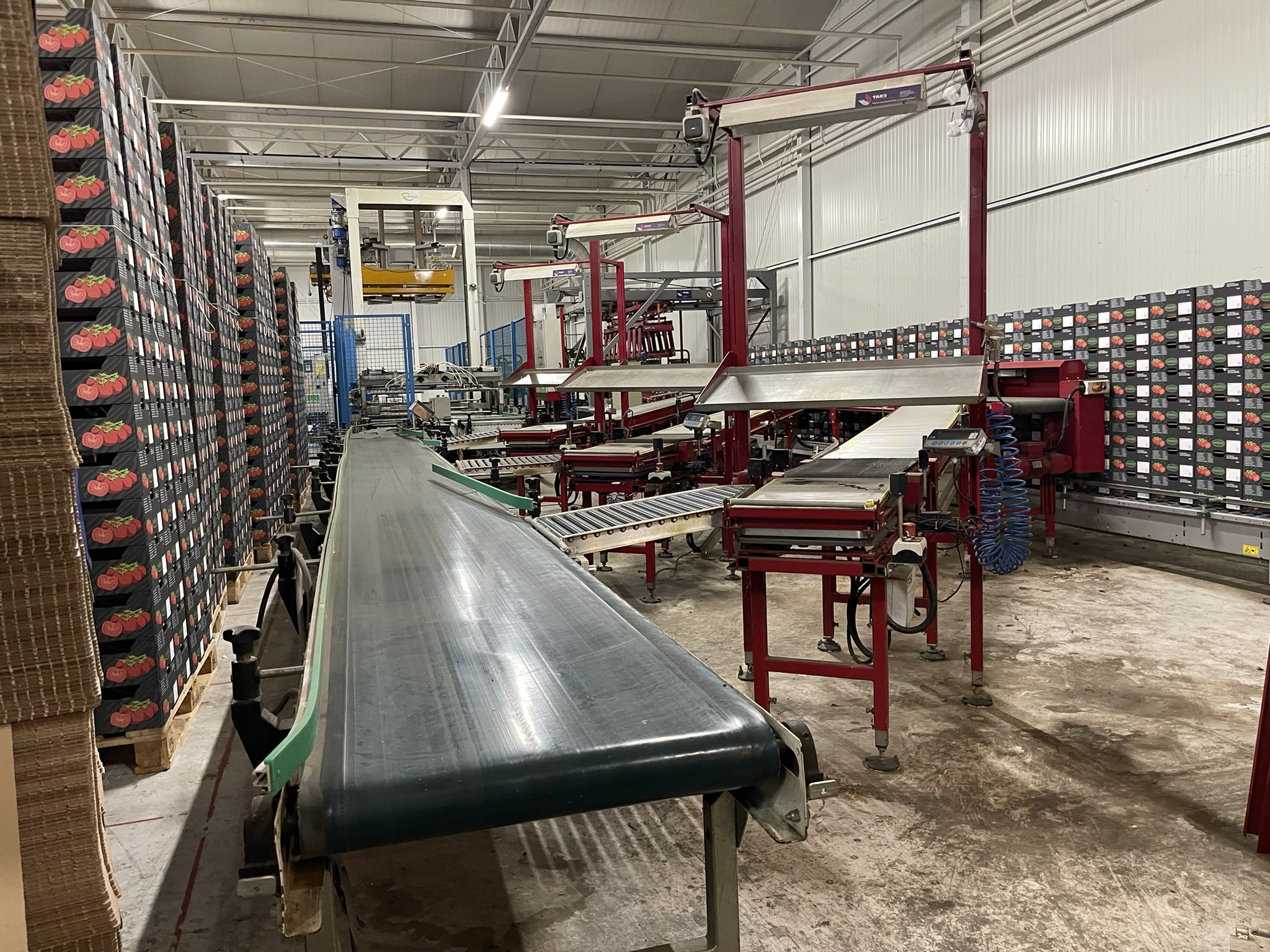 Complete Taks TTS vine tomato processing system