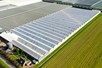 Complete turn-key widespan greenhouse 39.008 m²