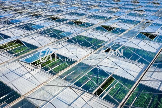 Venlo greenhouses 8,00 m 9.792 m²