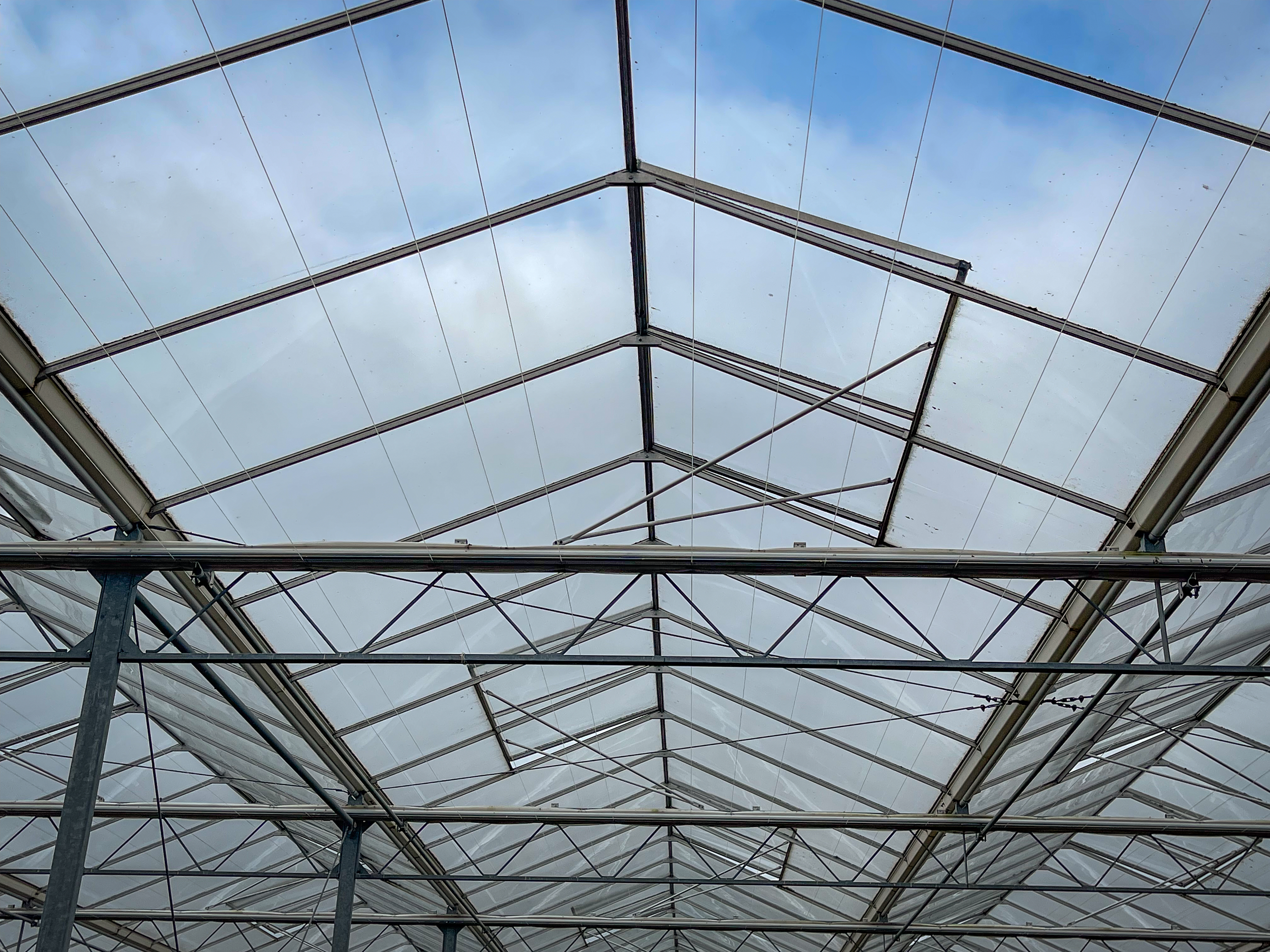 Venlo kas 8,00 m 15.300 m²