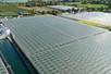 Venlo greenhouse 8,00 m 26.663 m²