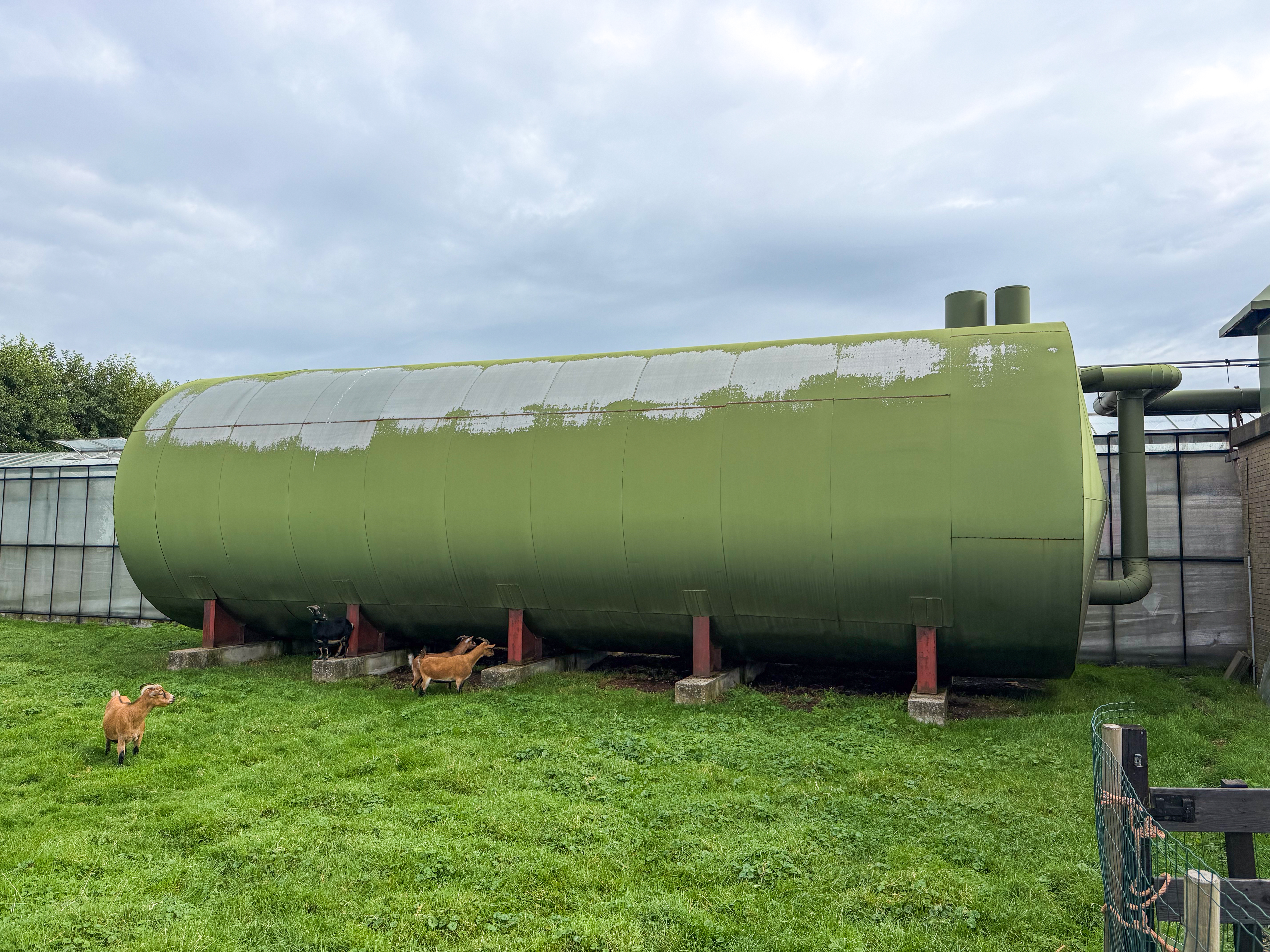 Buffer tank 165 m³