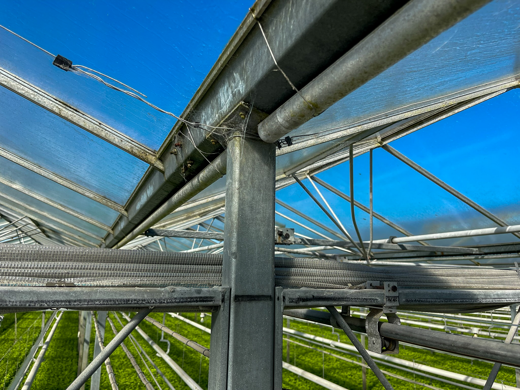 Venlo greenhouse 6,40m 11.251 m²