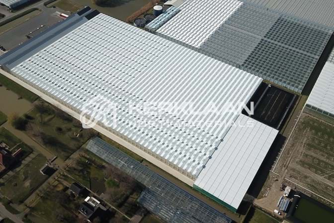 Venlo greenhouse 6,40 m 50.128 m²