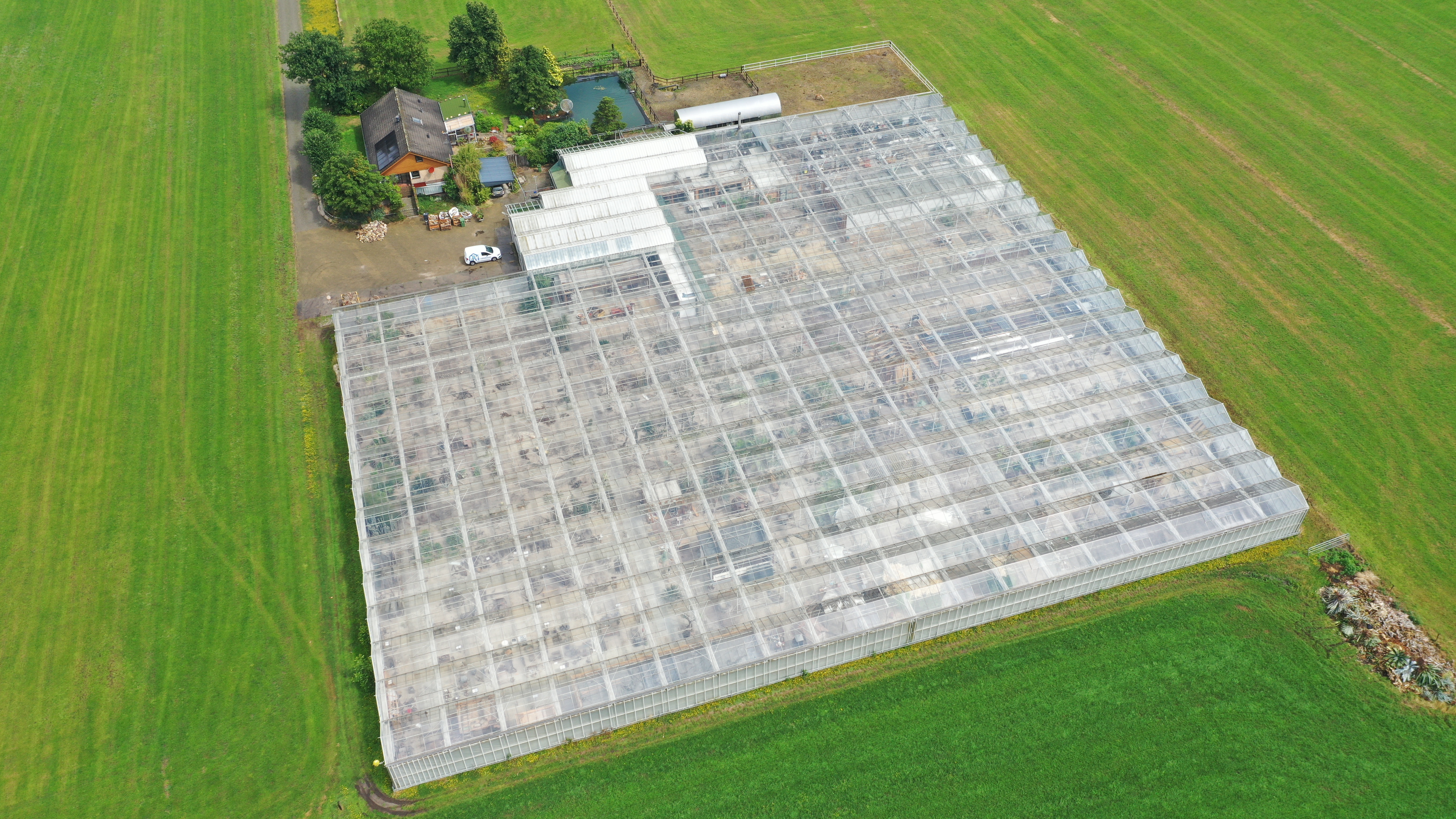 Venlo kas 8,00 m 6.138 m²
