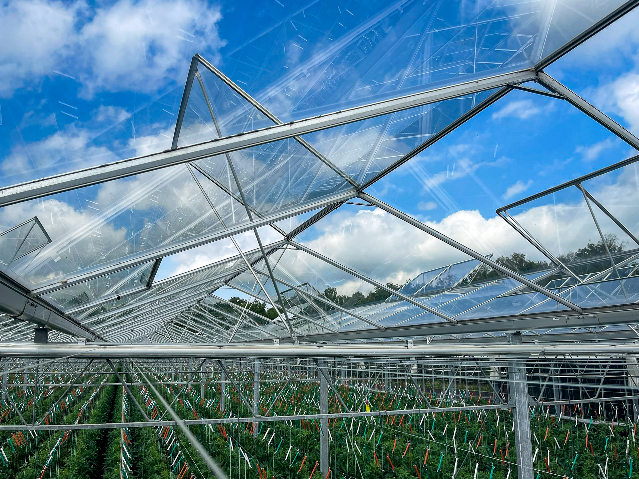 Venlo kas 8,00 m 40.752 m²