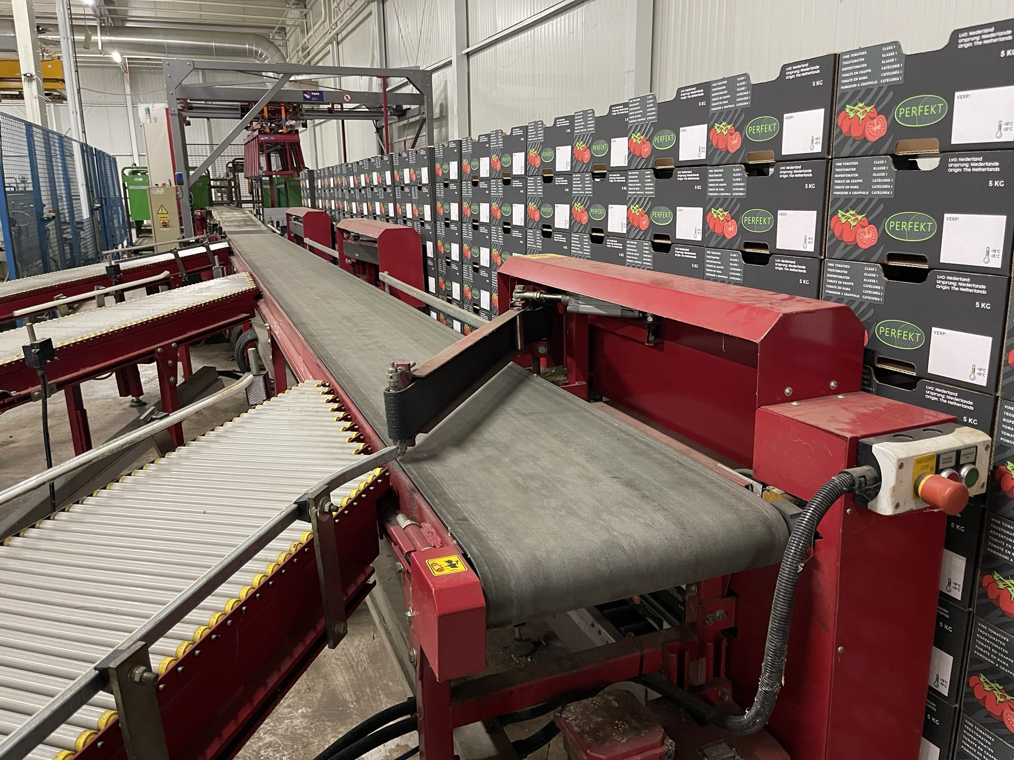 Complete Taks TTS vine tomato processing system